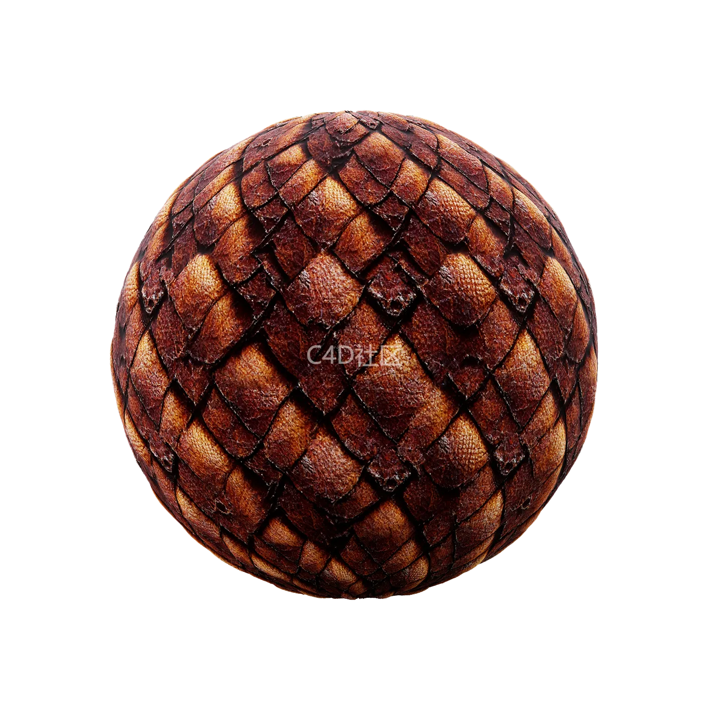 中世纪皮革纹理250528429