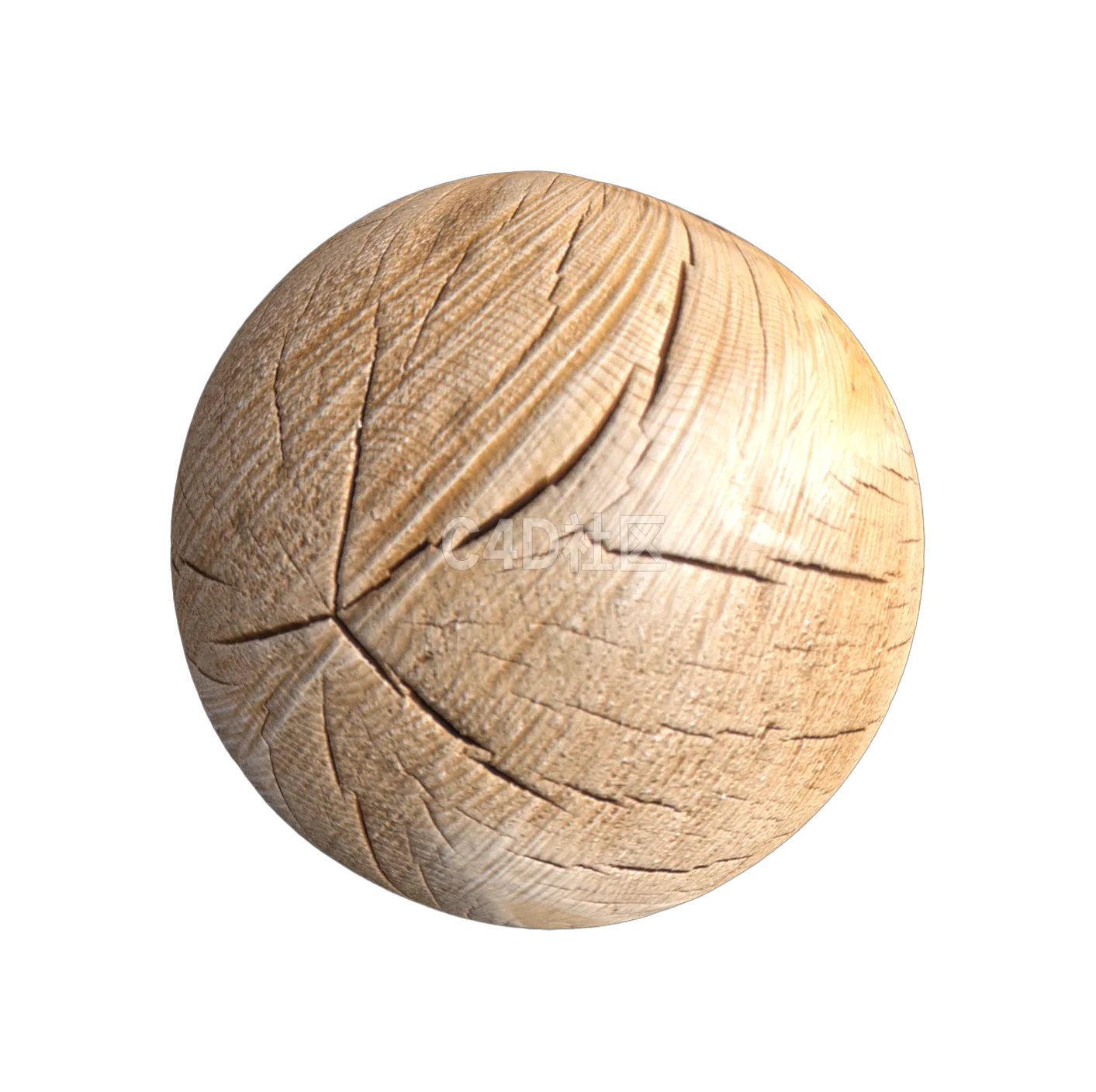 木头截面纹理250528267