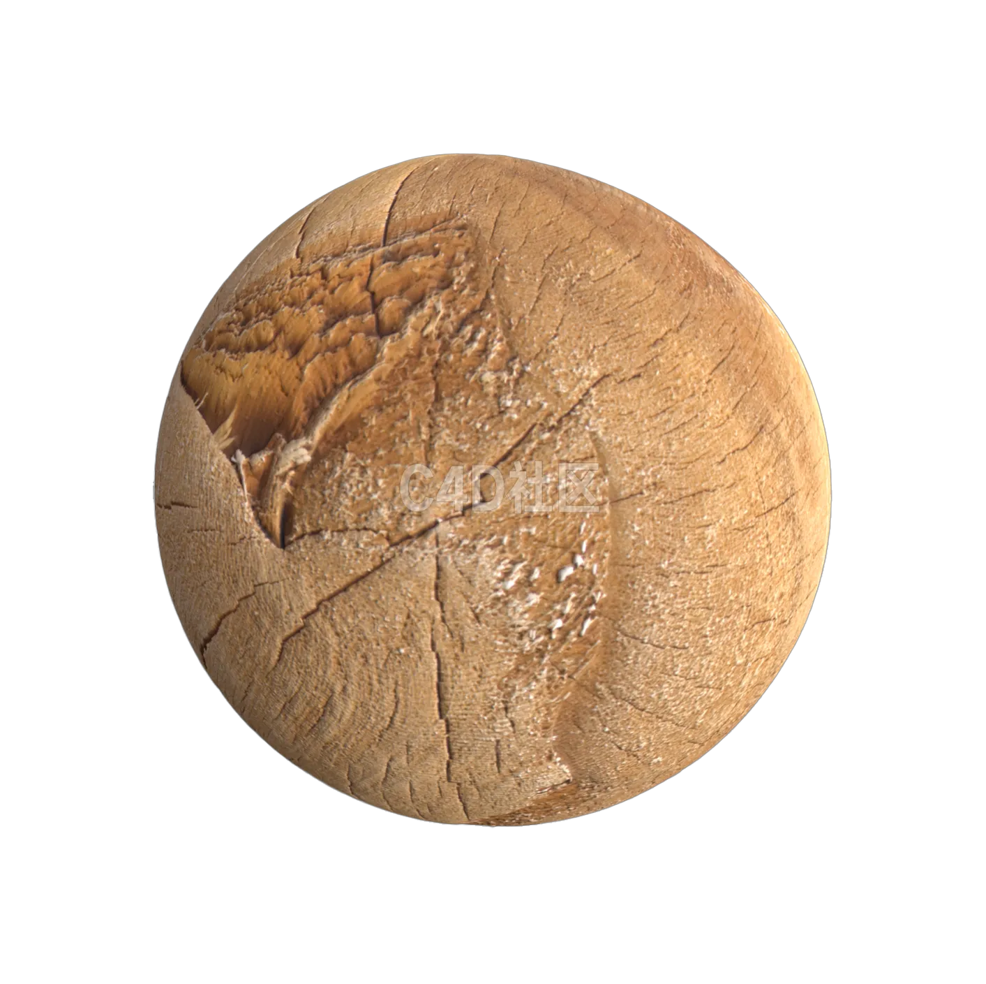 木头截面纹理250528277