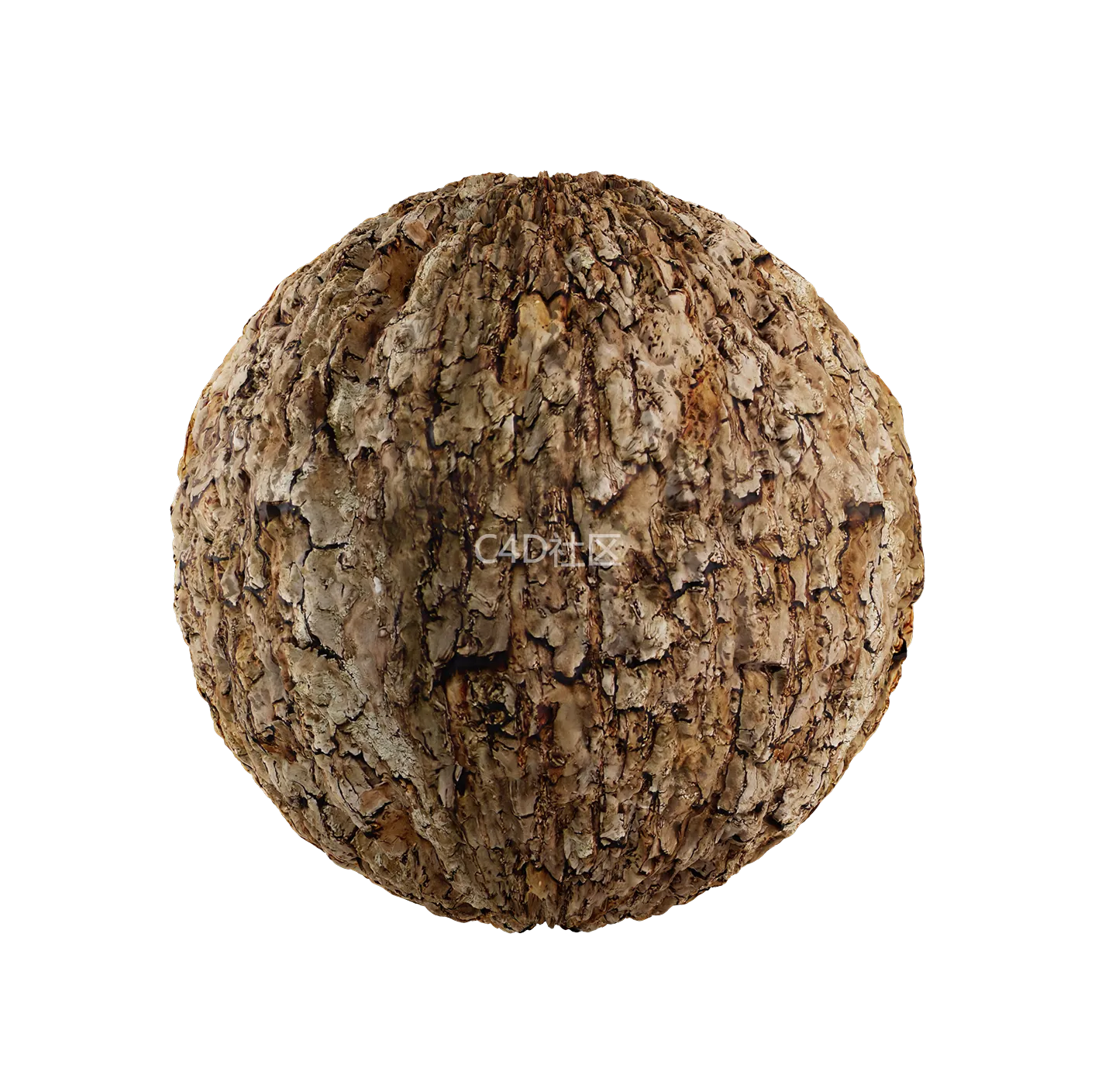 树皮纹理25052803