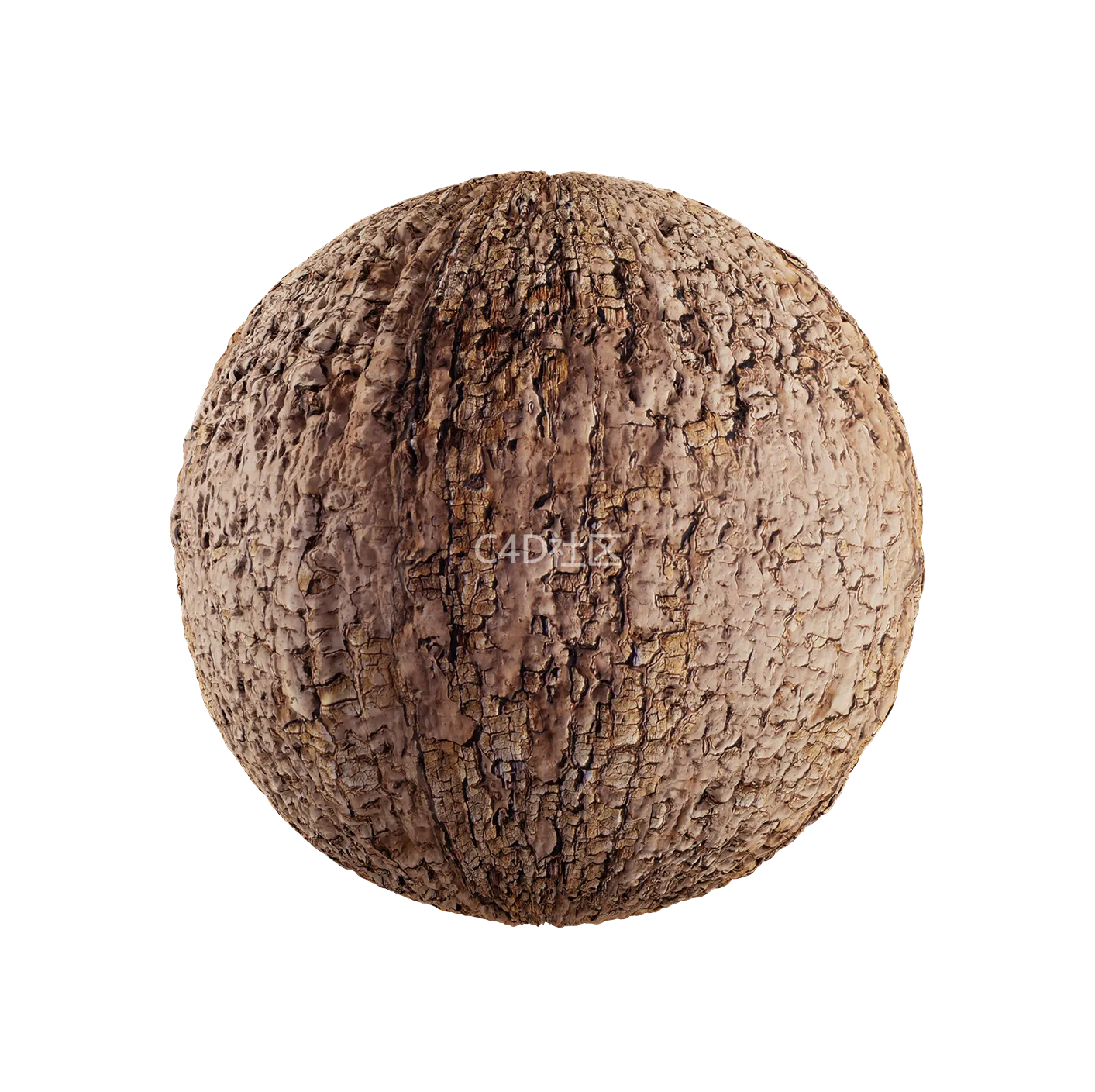 树皮纹理25052804