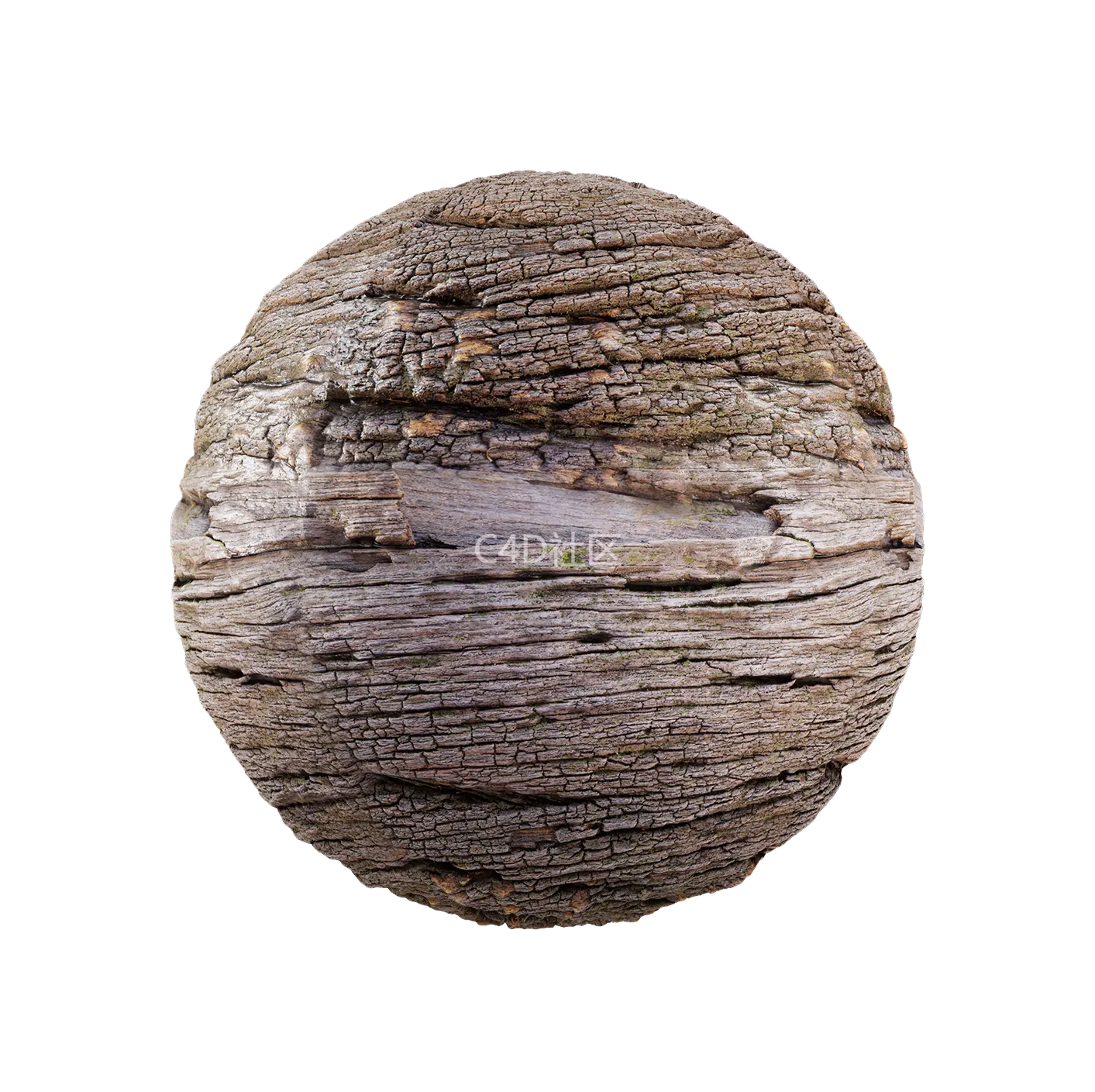 树皮纹理25052807