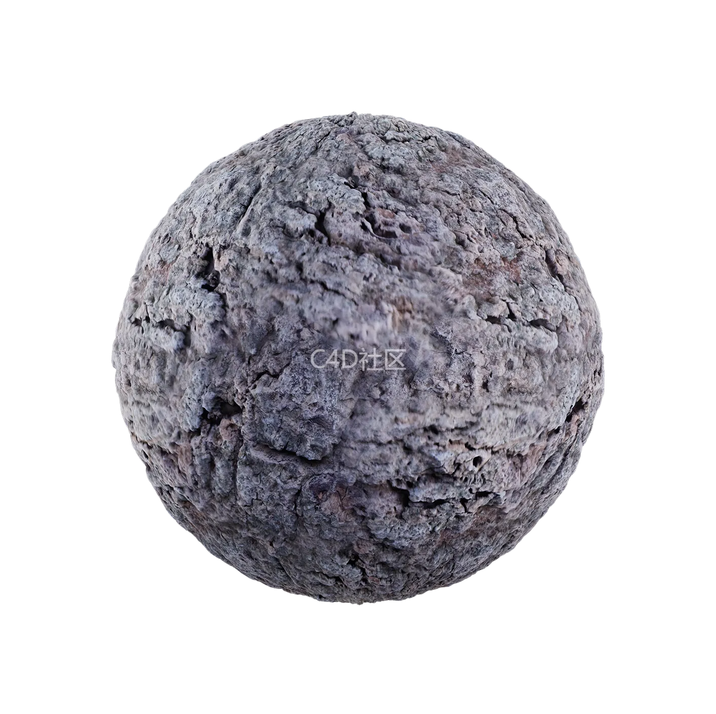 树皮纹理25052809