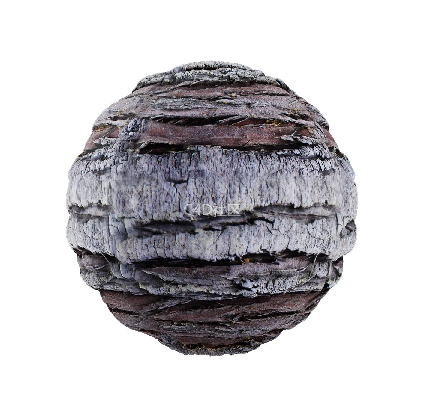 树皮纹理25052810