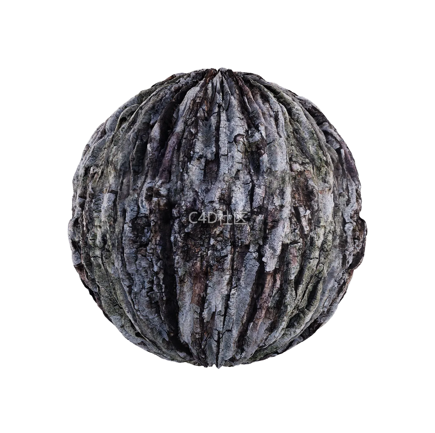 树皮纹理25052814