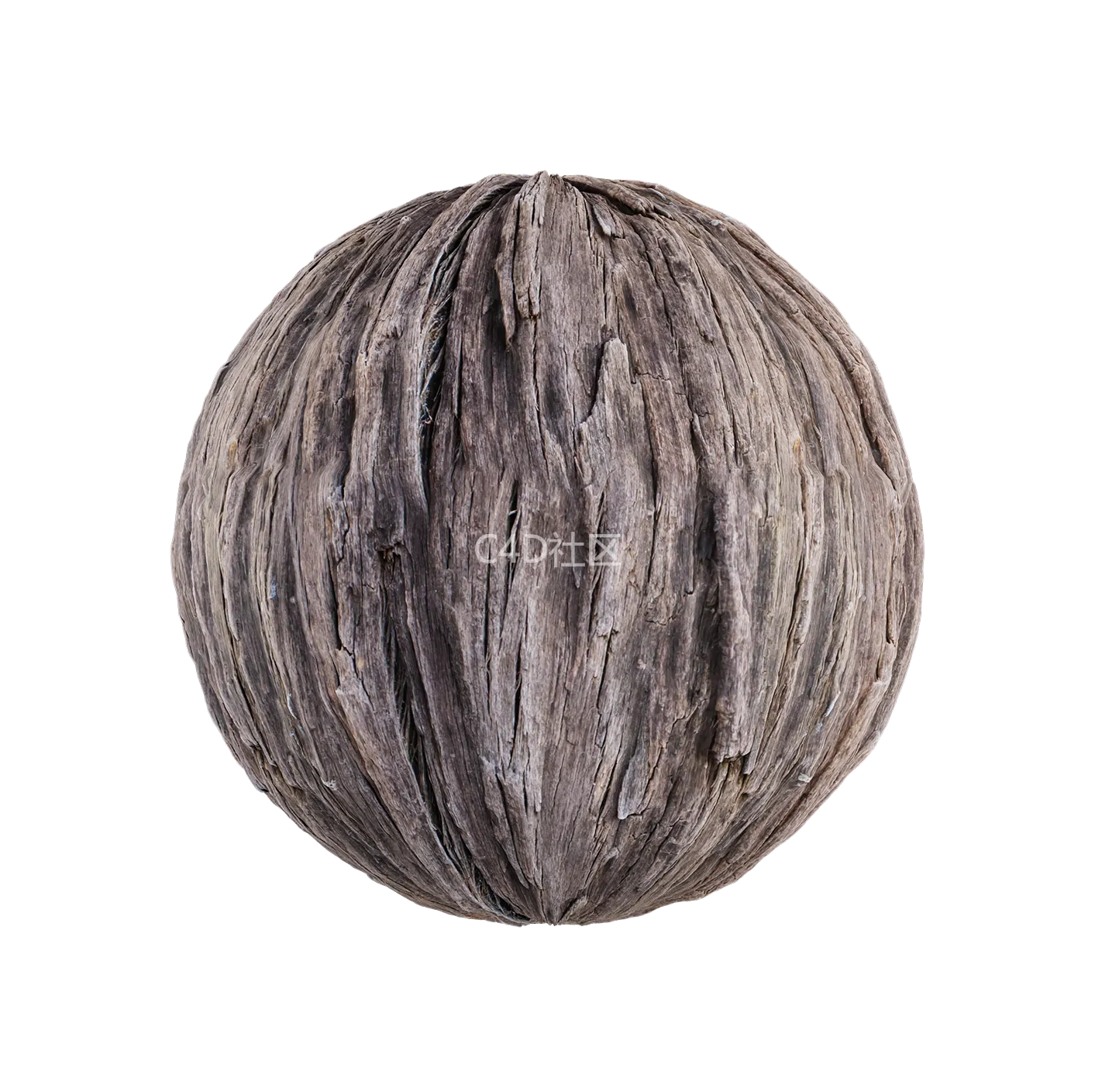 树皮纹理25052815