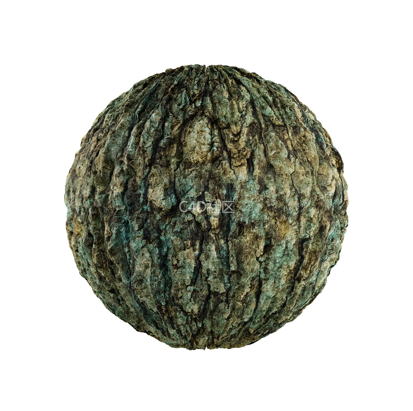 树皮纹理25052816