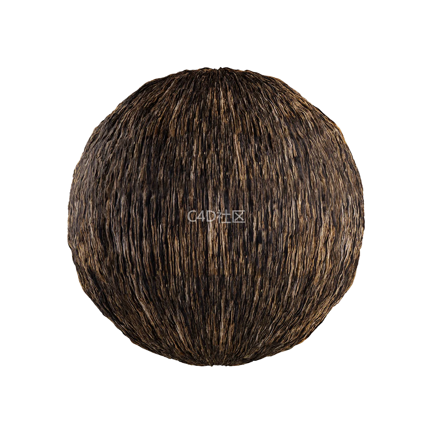 树皮纹理25052818