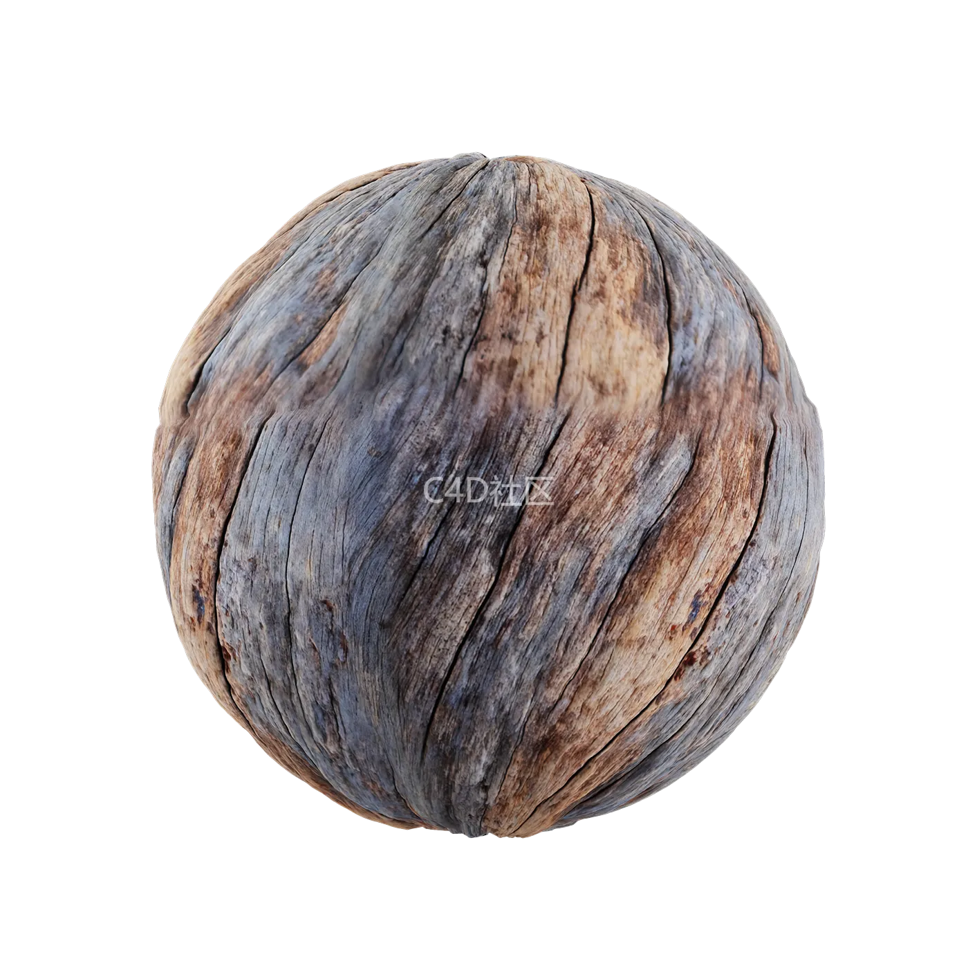 树皮纹理25052819