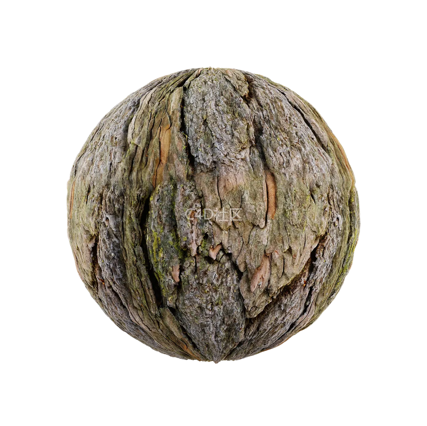 树皮纹理25052824