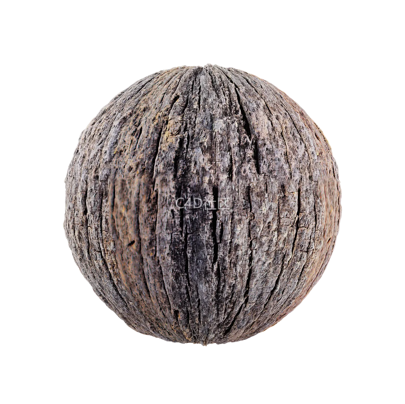 树皮纹理25052828