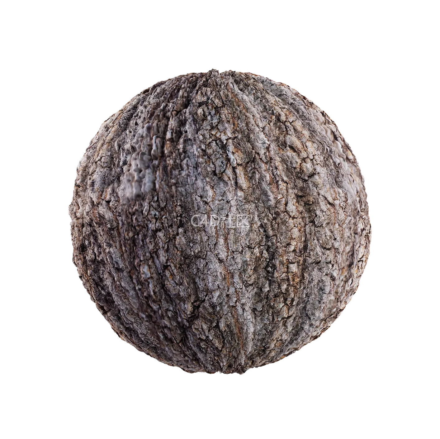 树皮纹理25052832