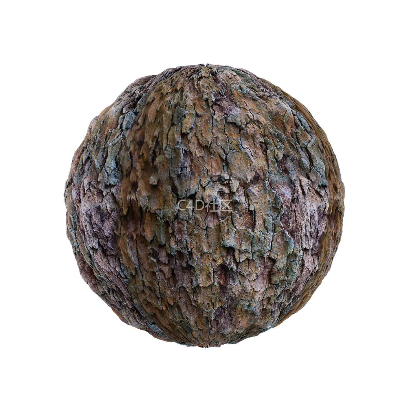 树皮纹理25052833