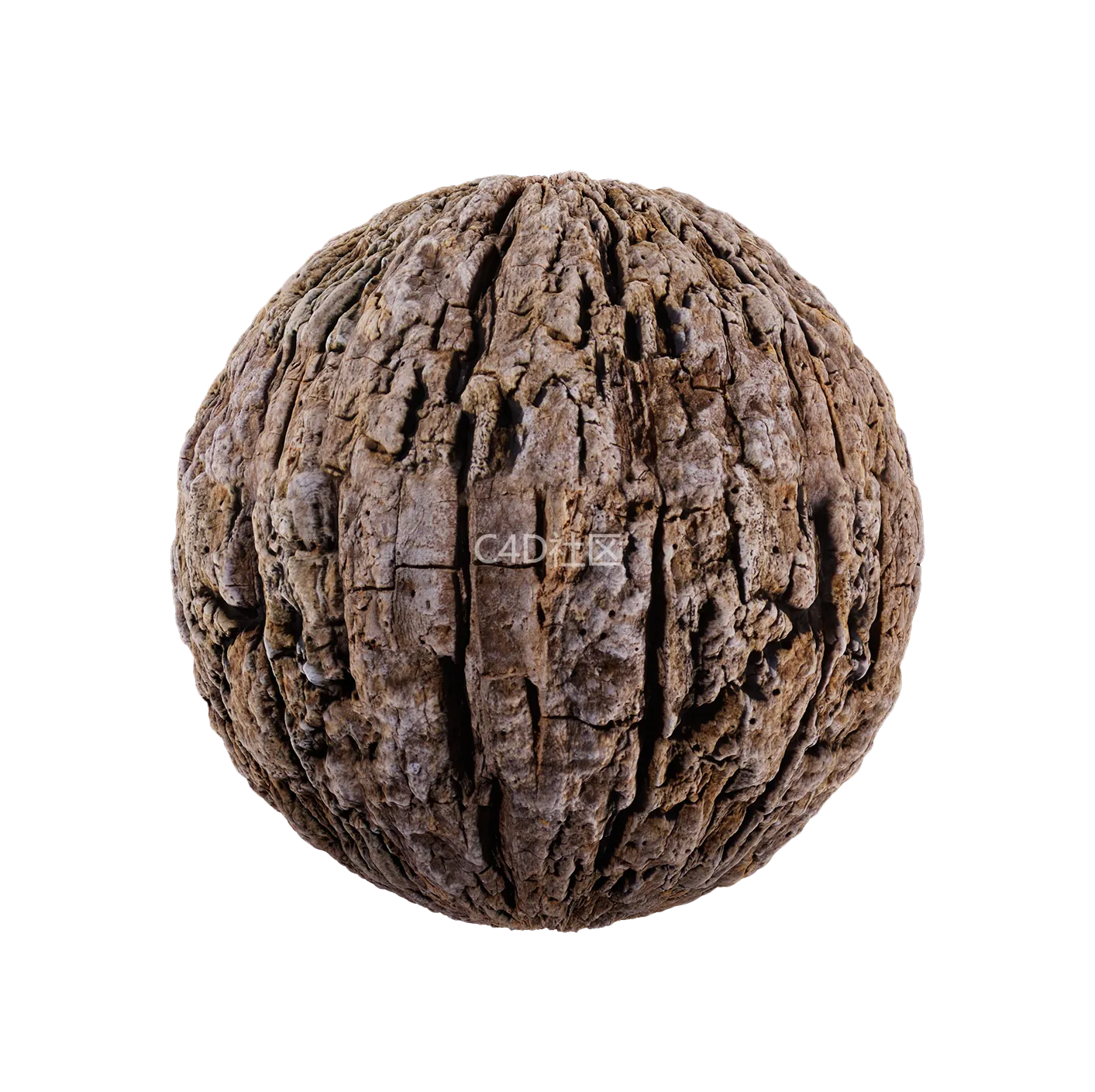 树皮纹理25052842