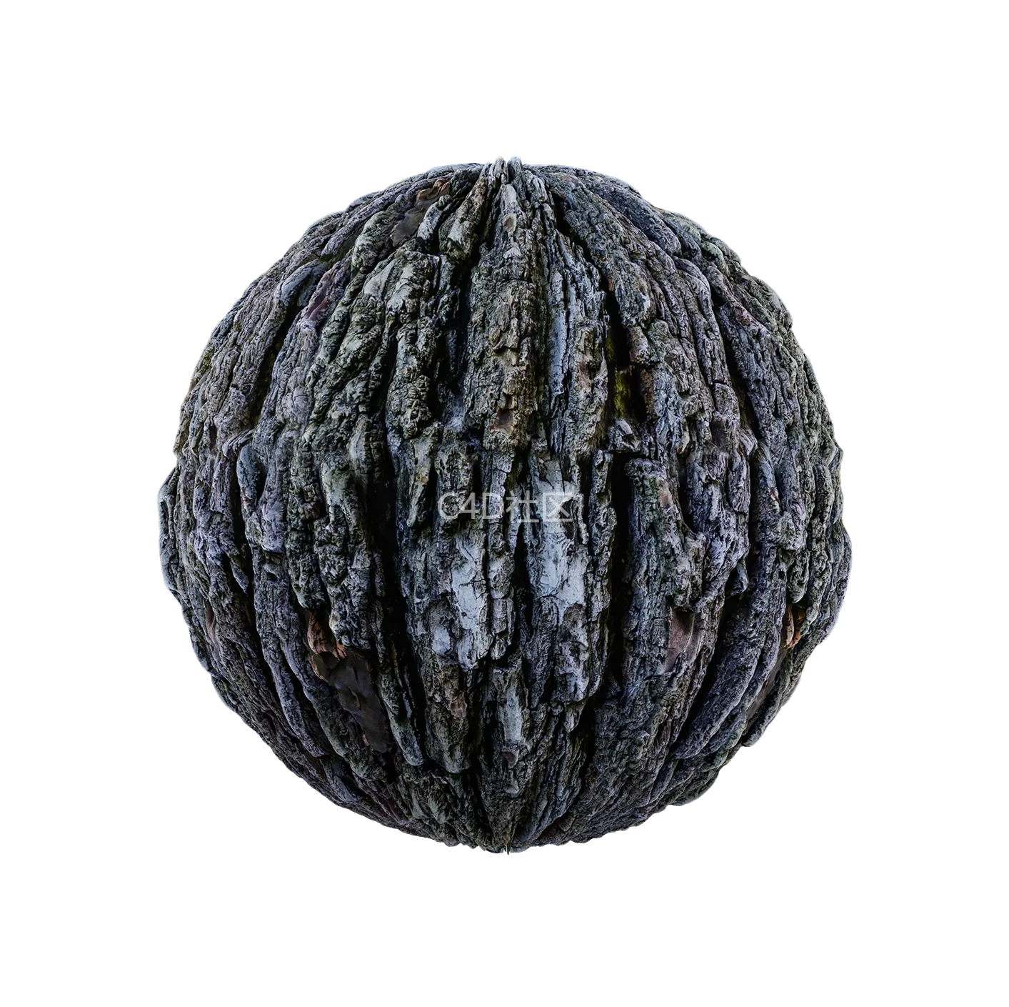 树皮纹理25052843