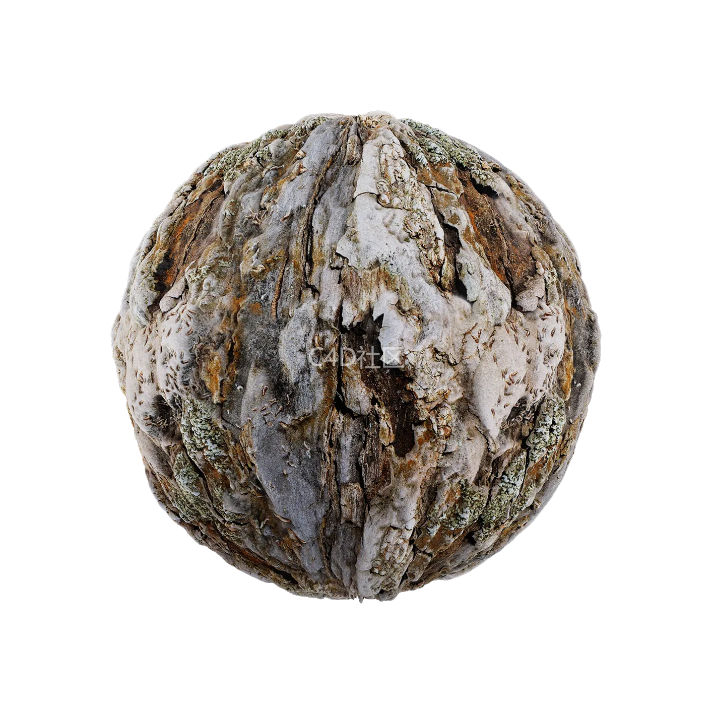 树皮纹理25052844