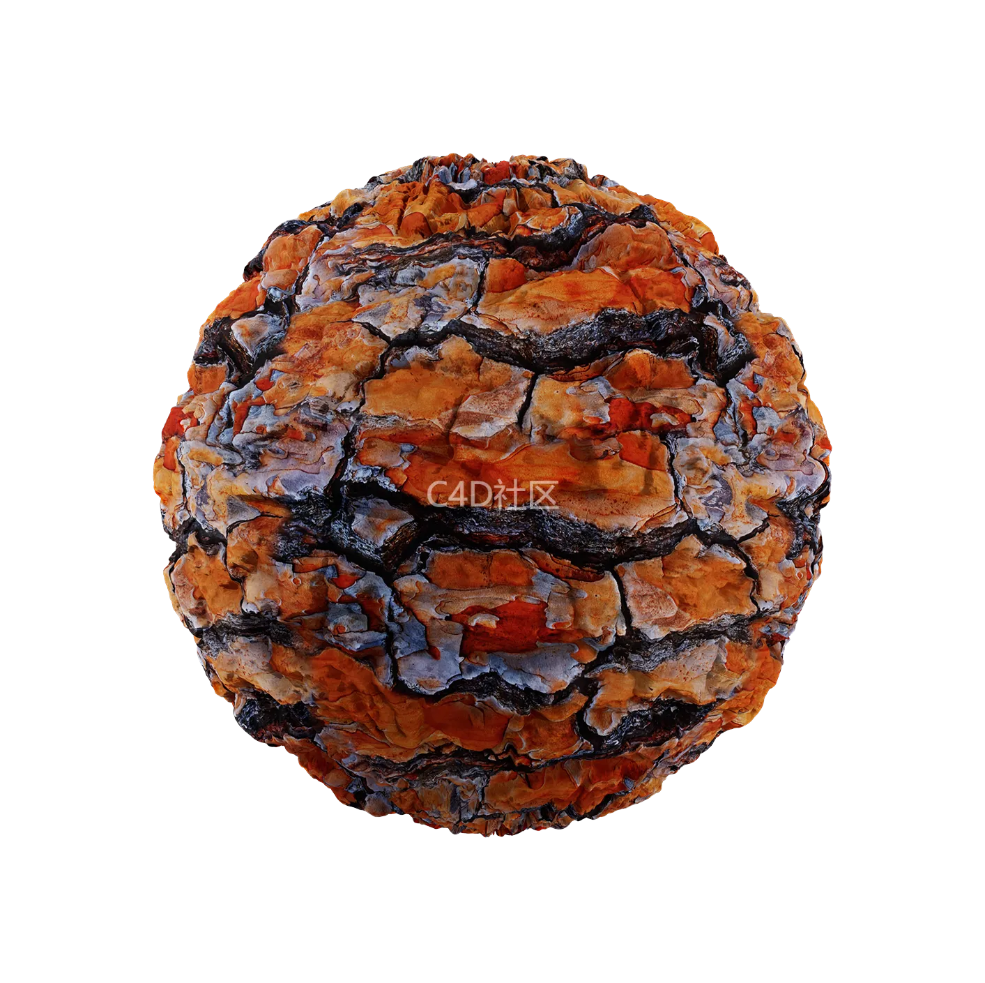 树皮纹理25052845