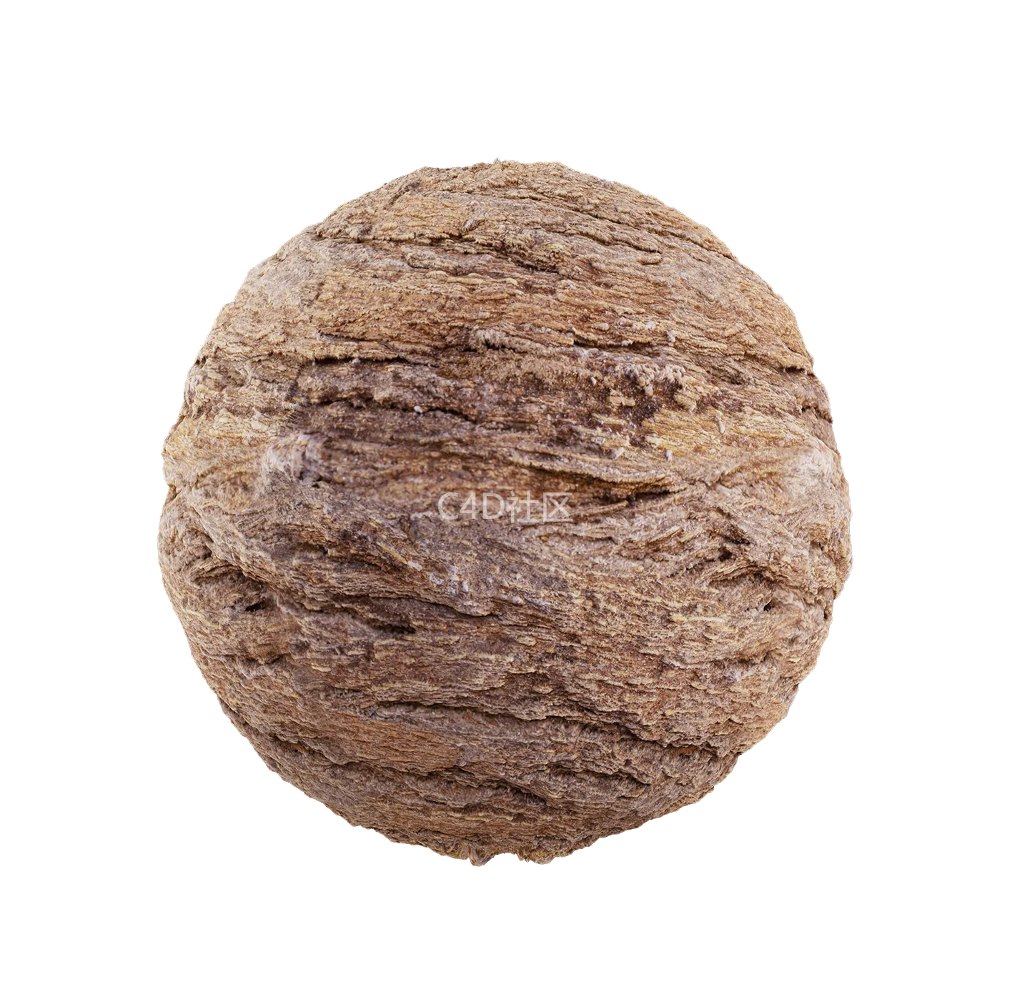 树皮纹理25052846