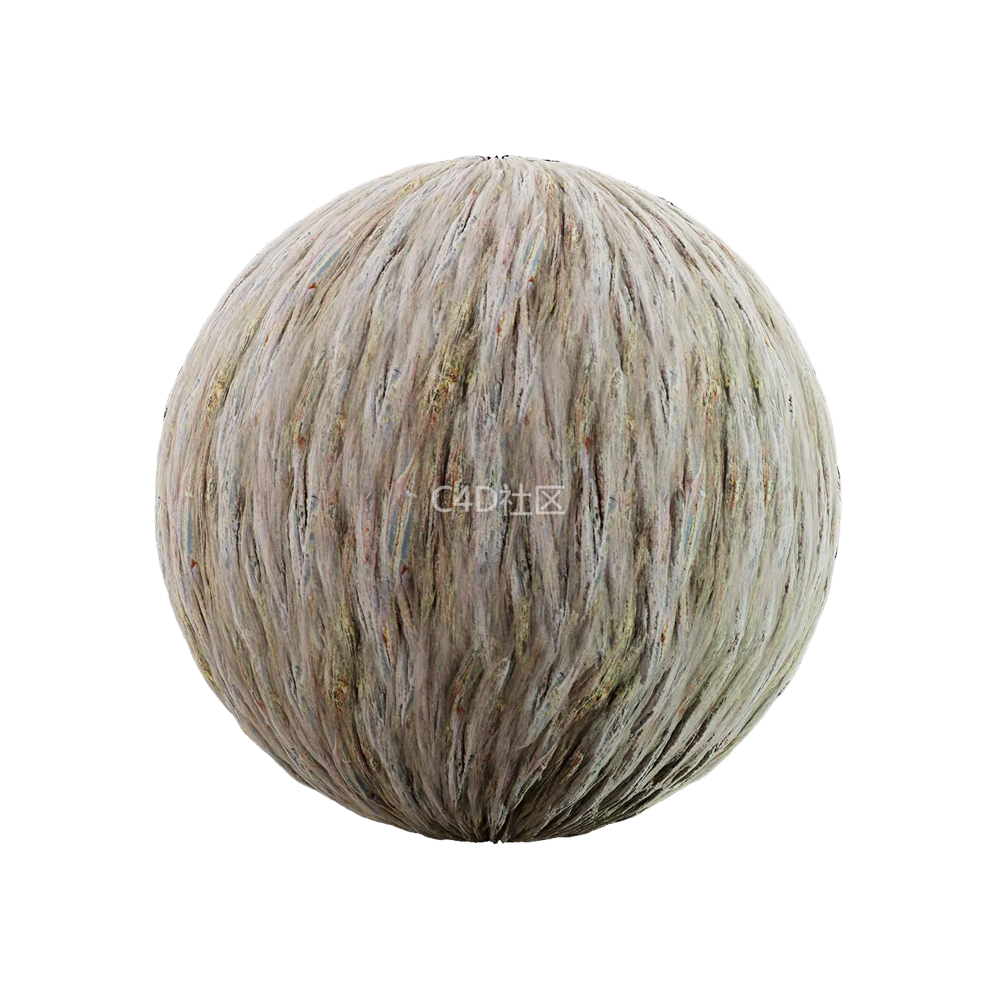 树皮纹理25052847