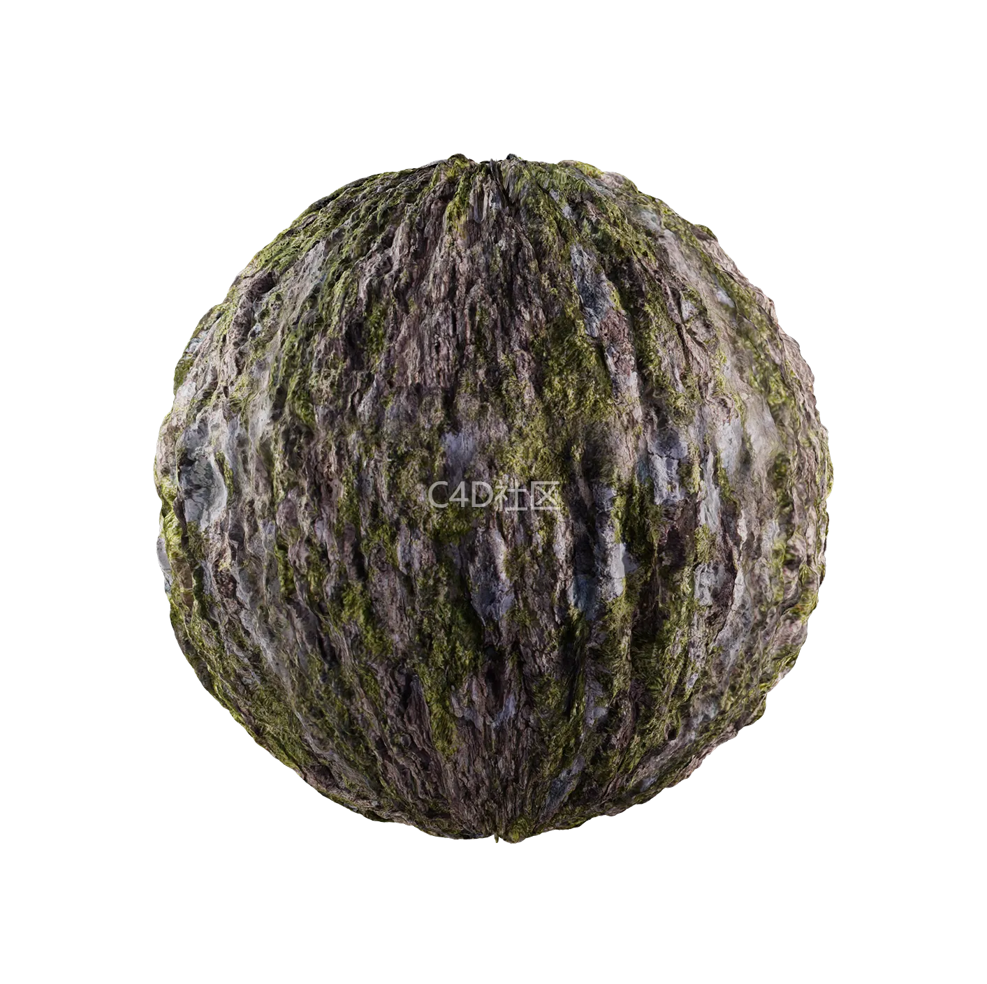 树皮纹理25052850