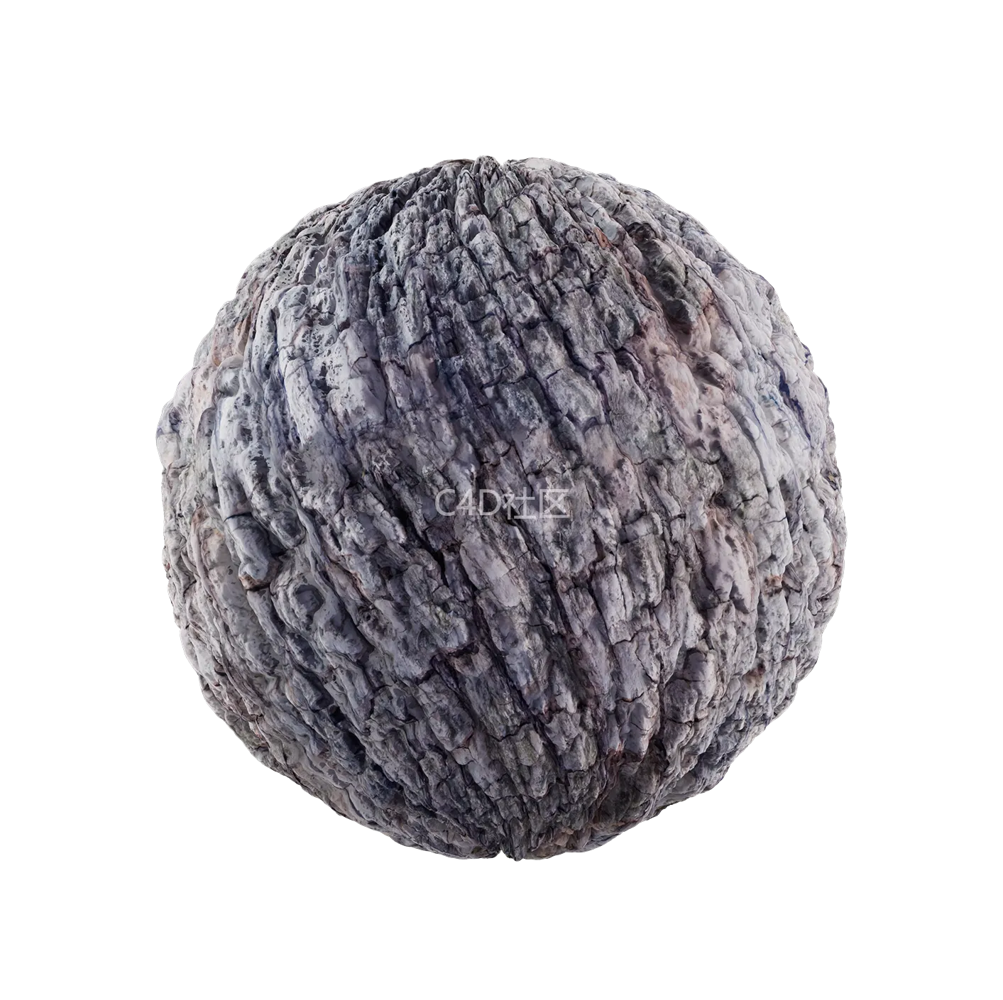 树皮纹理25052851