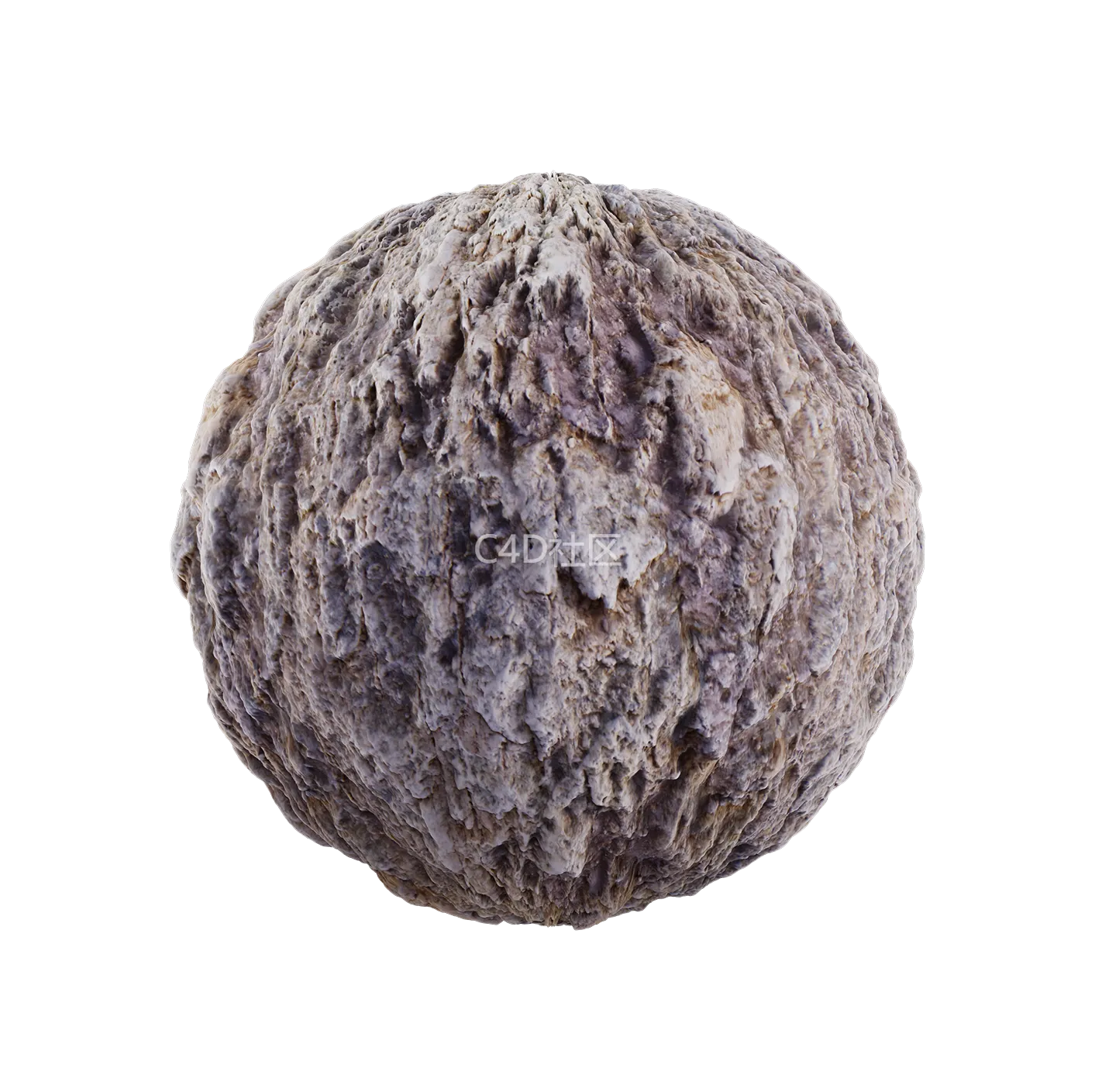 树皮纹理25052853