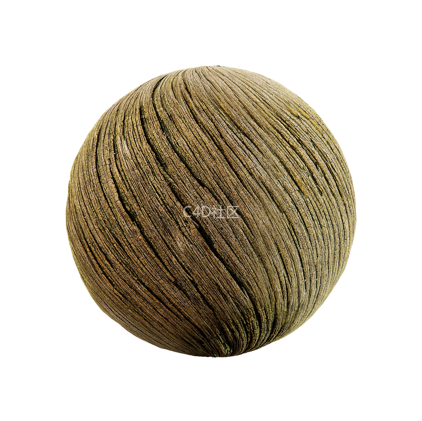 树皮纹理25052857