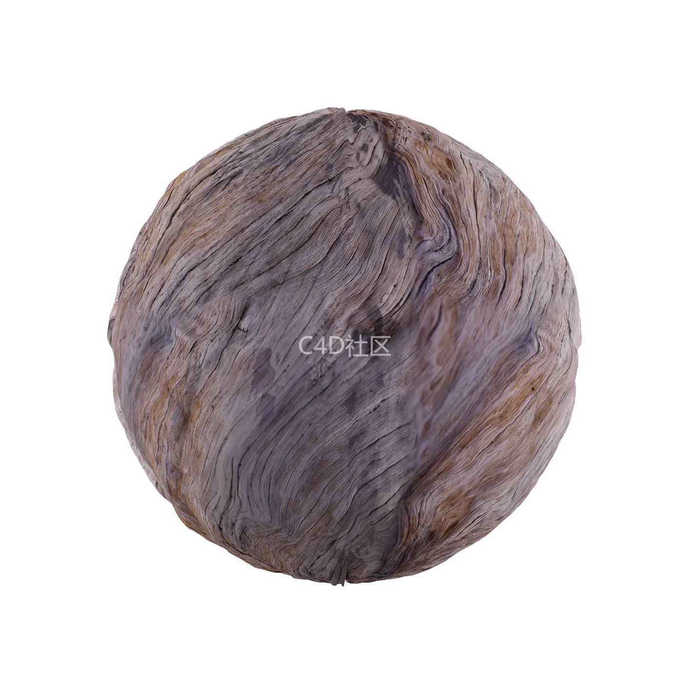 树皮纹理25052858