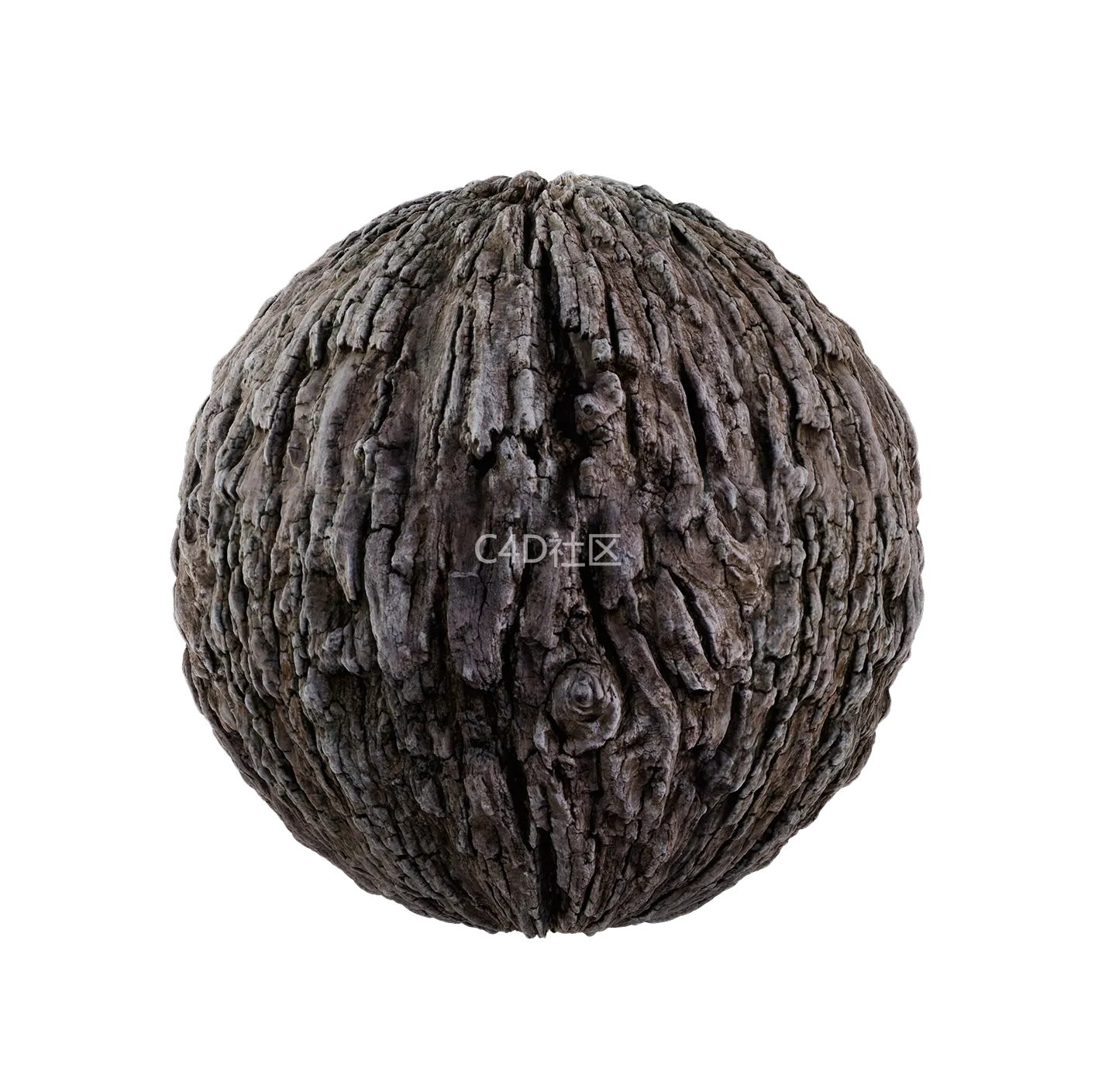 树皮纹理25052859