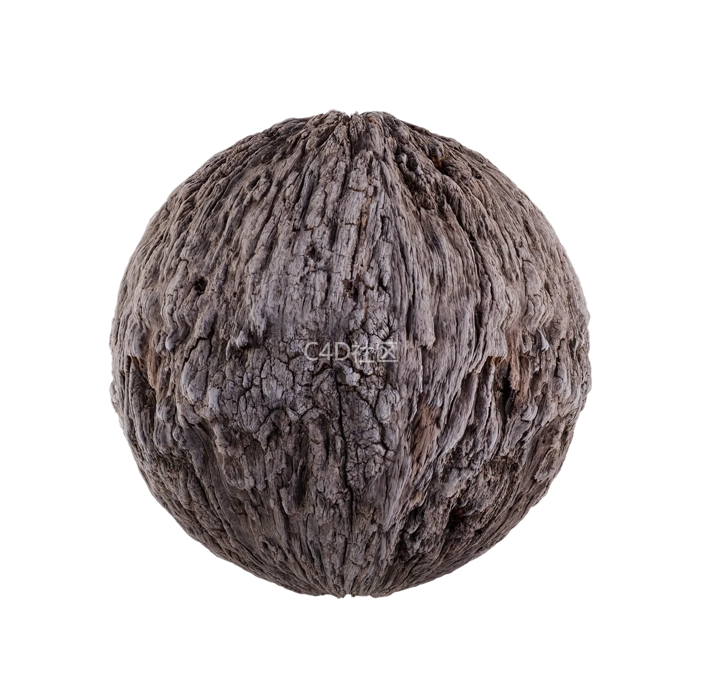 树皮纹理25052860