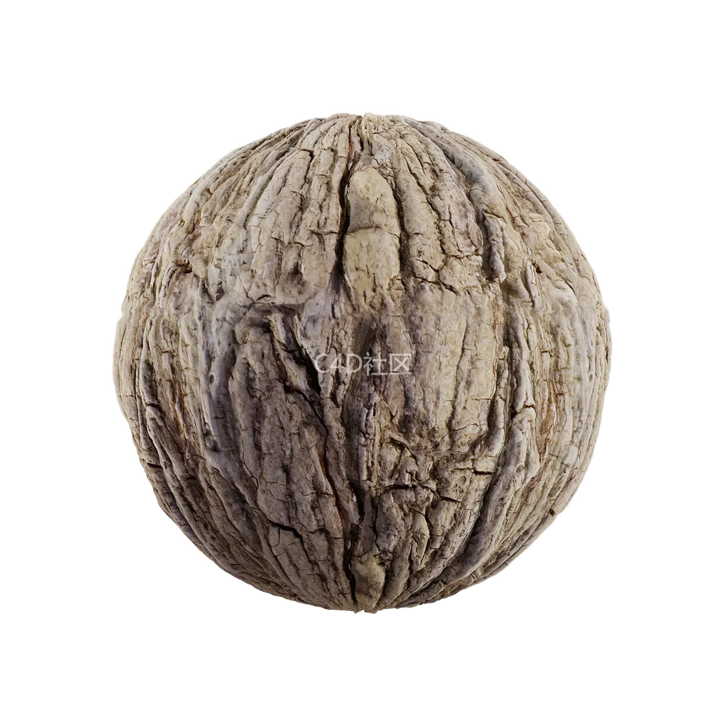 树皮纹理25052872