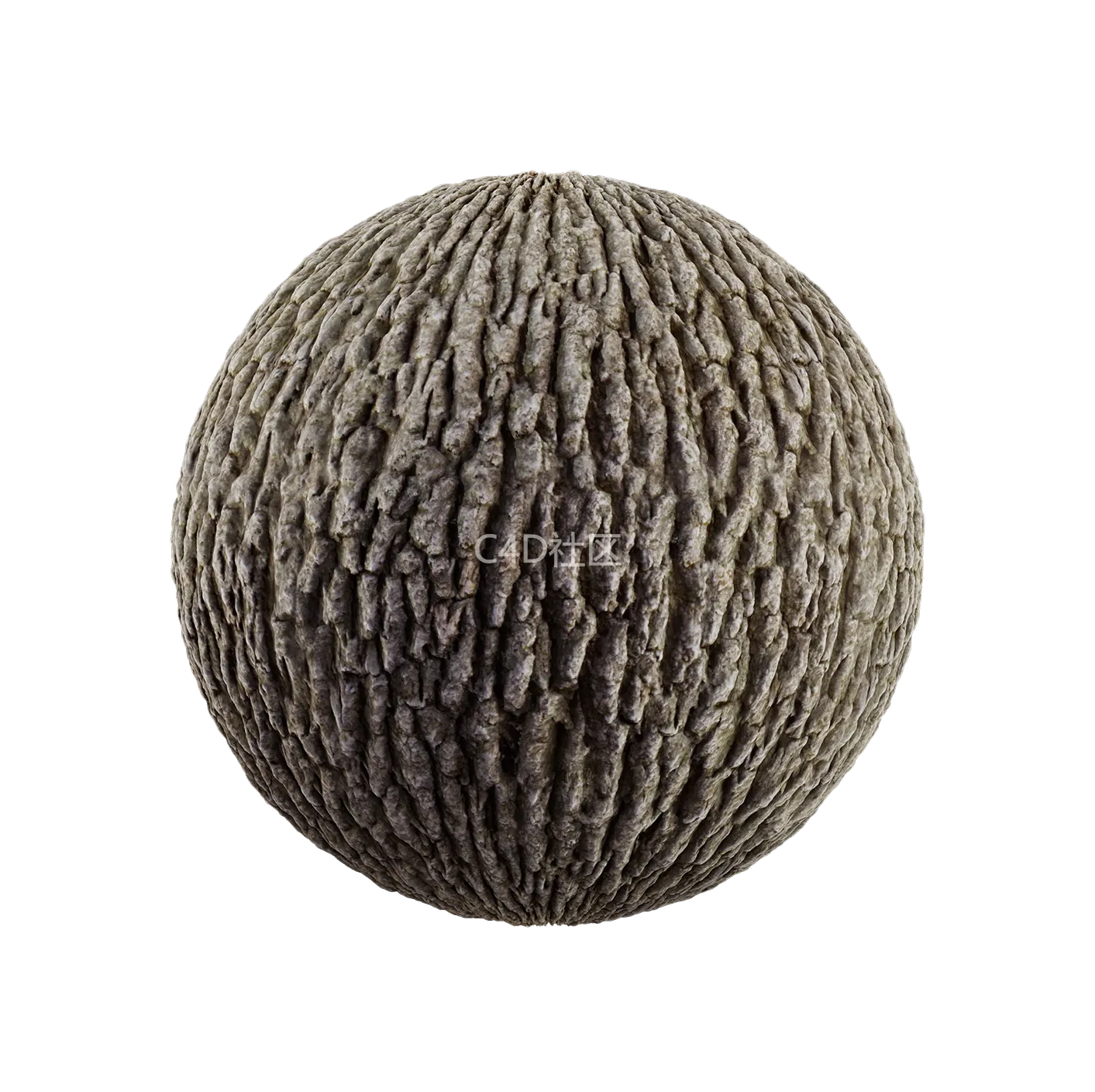 树皮纹理25052873