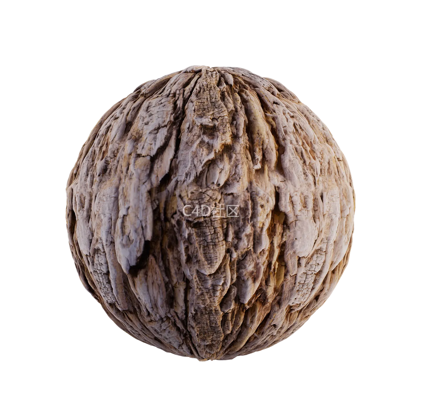 树皮纹理25052874