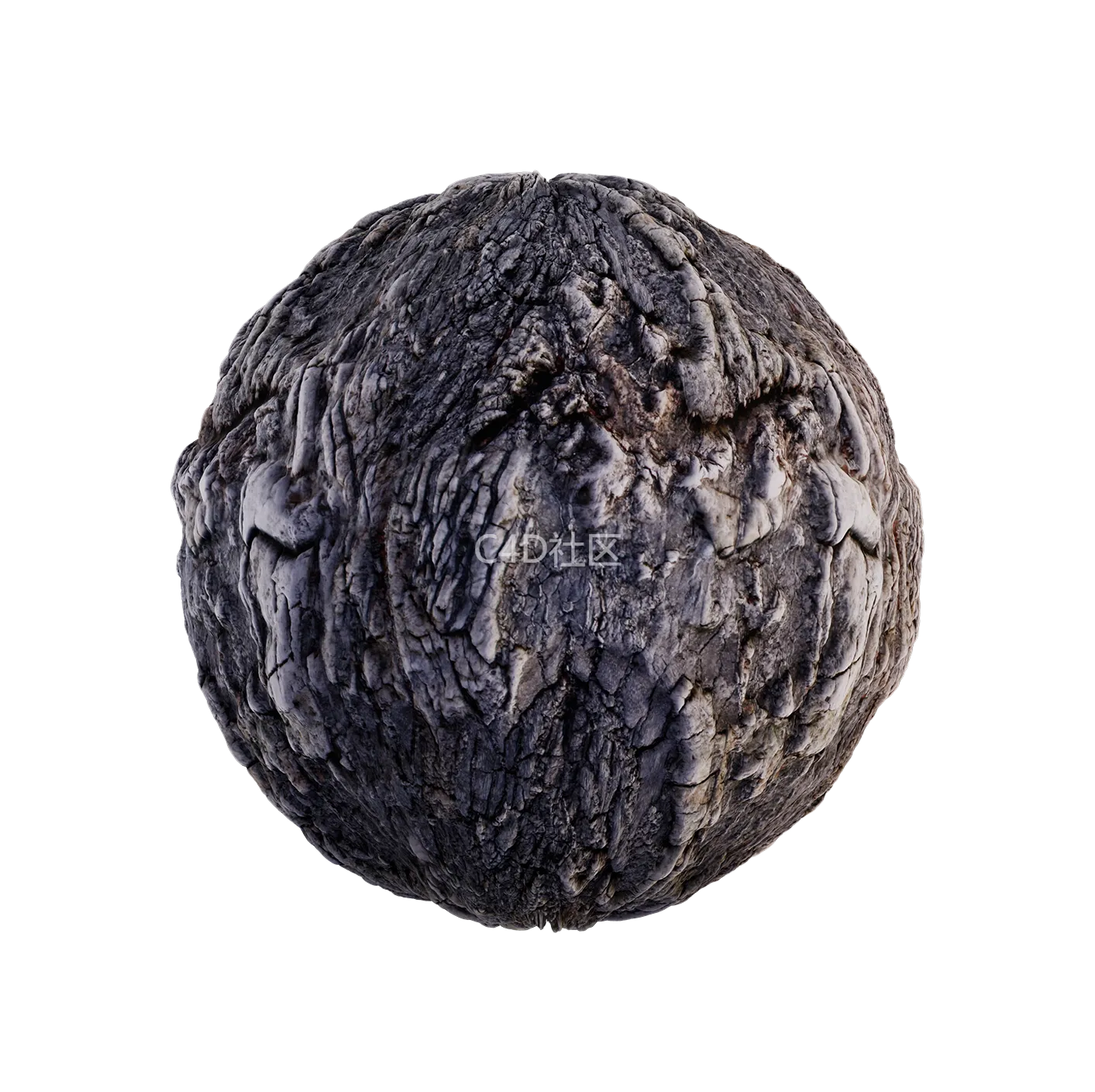 树皮纹理25052875