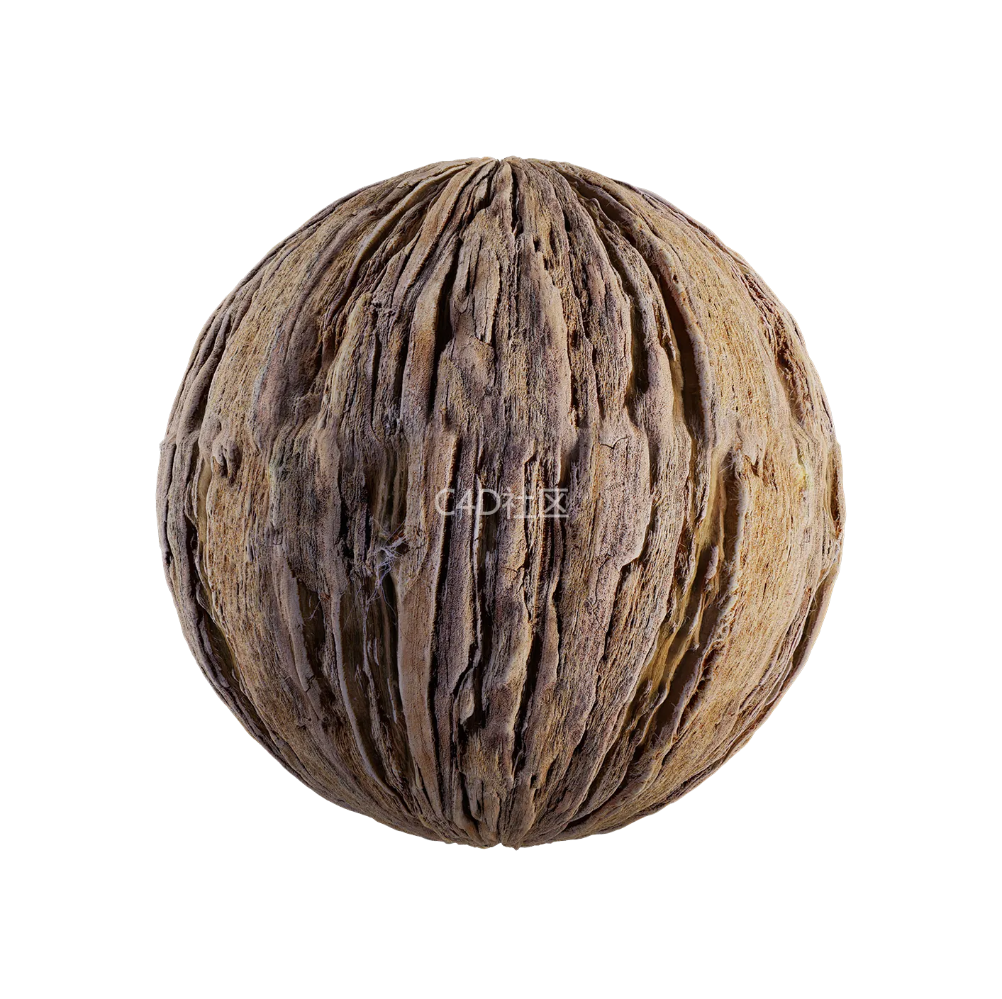 树皮纹理25052876