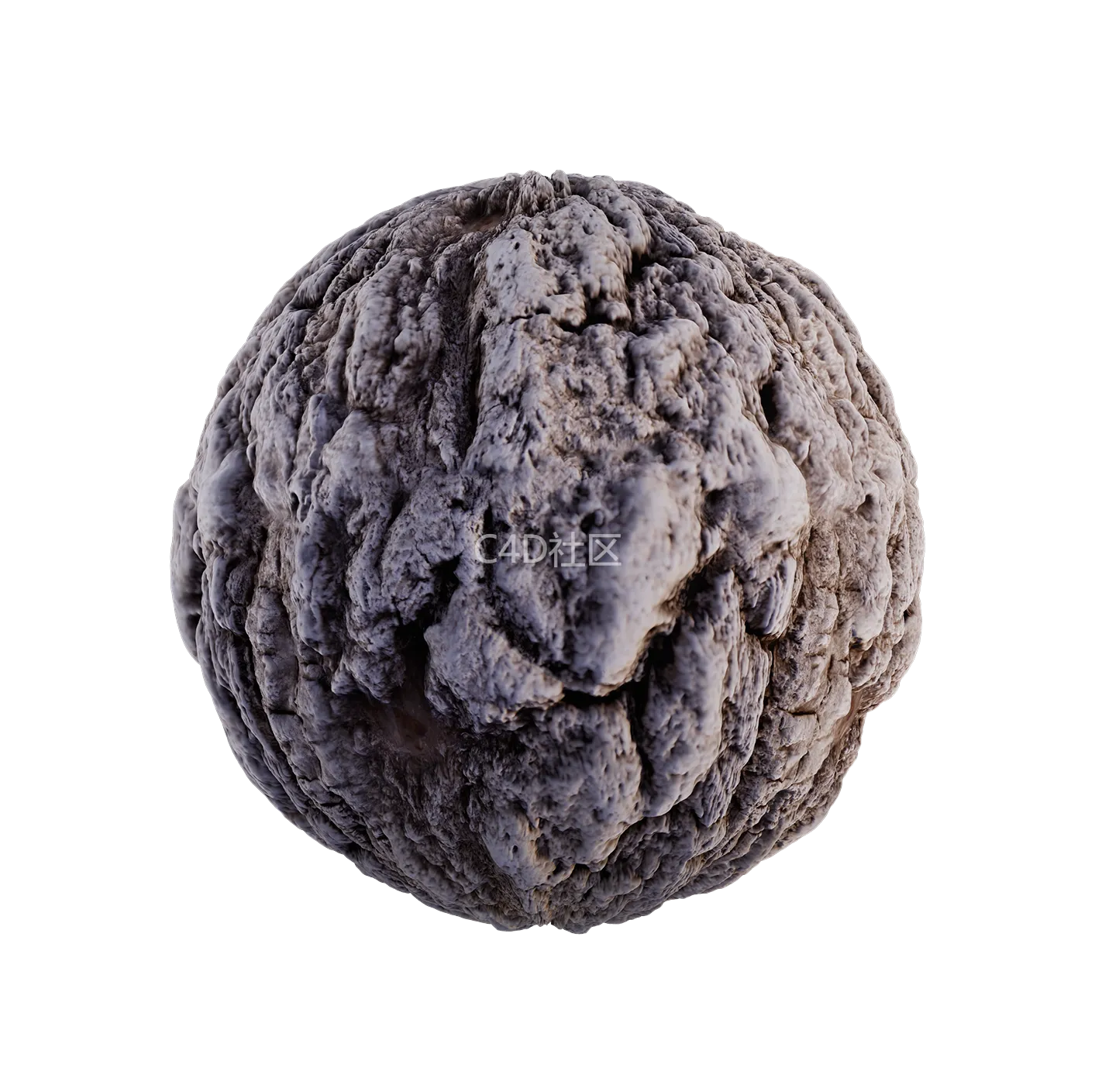 树皮纹理25052878