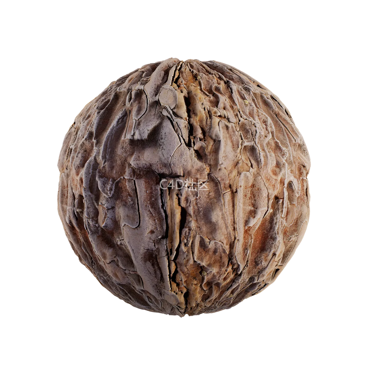 树皮纹理25052879