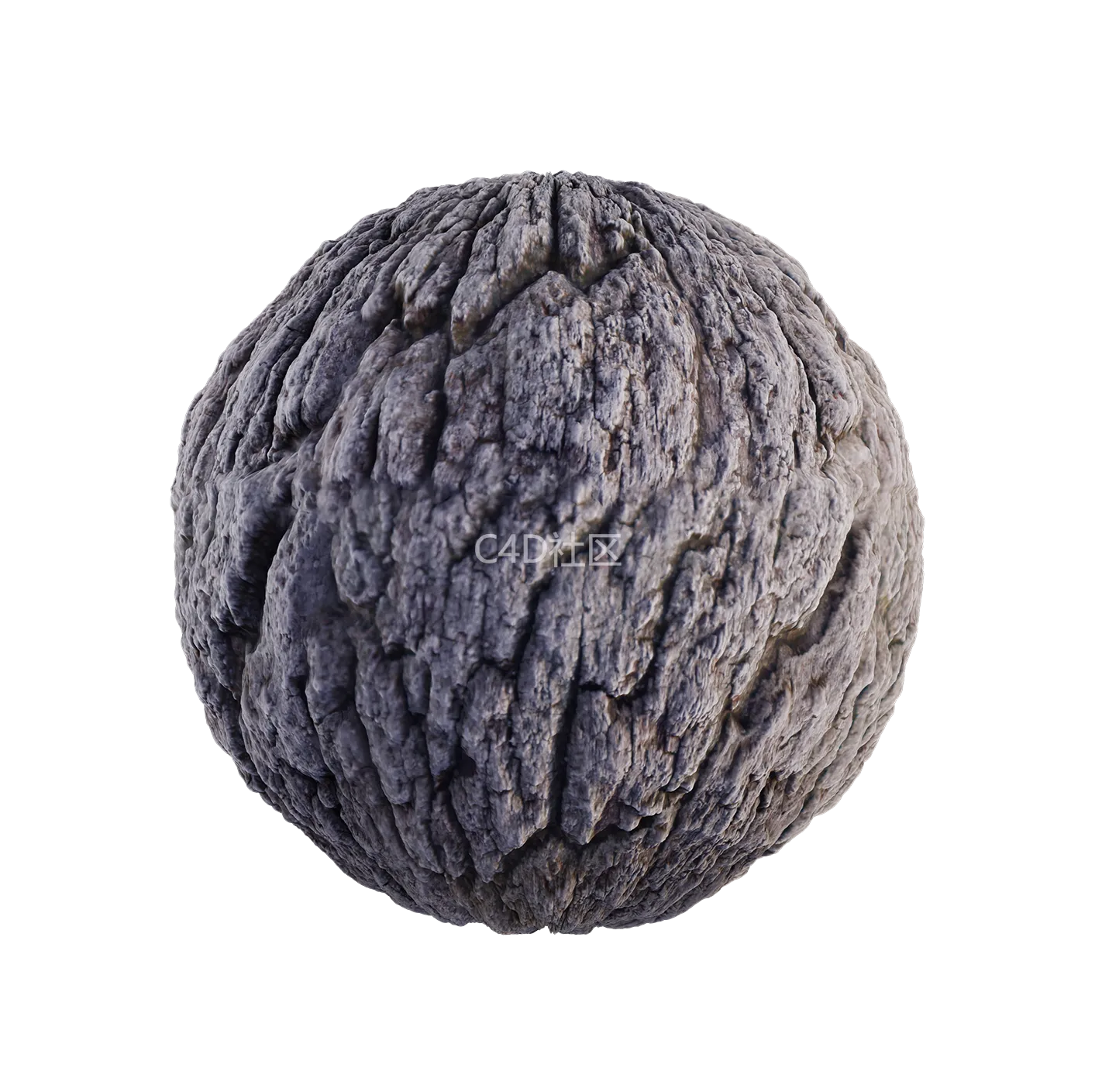 树皮纹理25052880