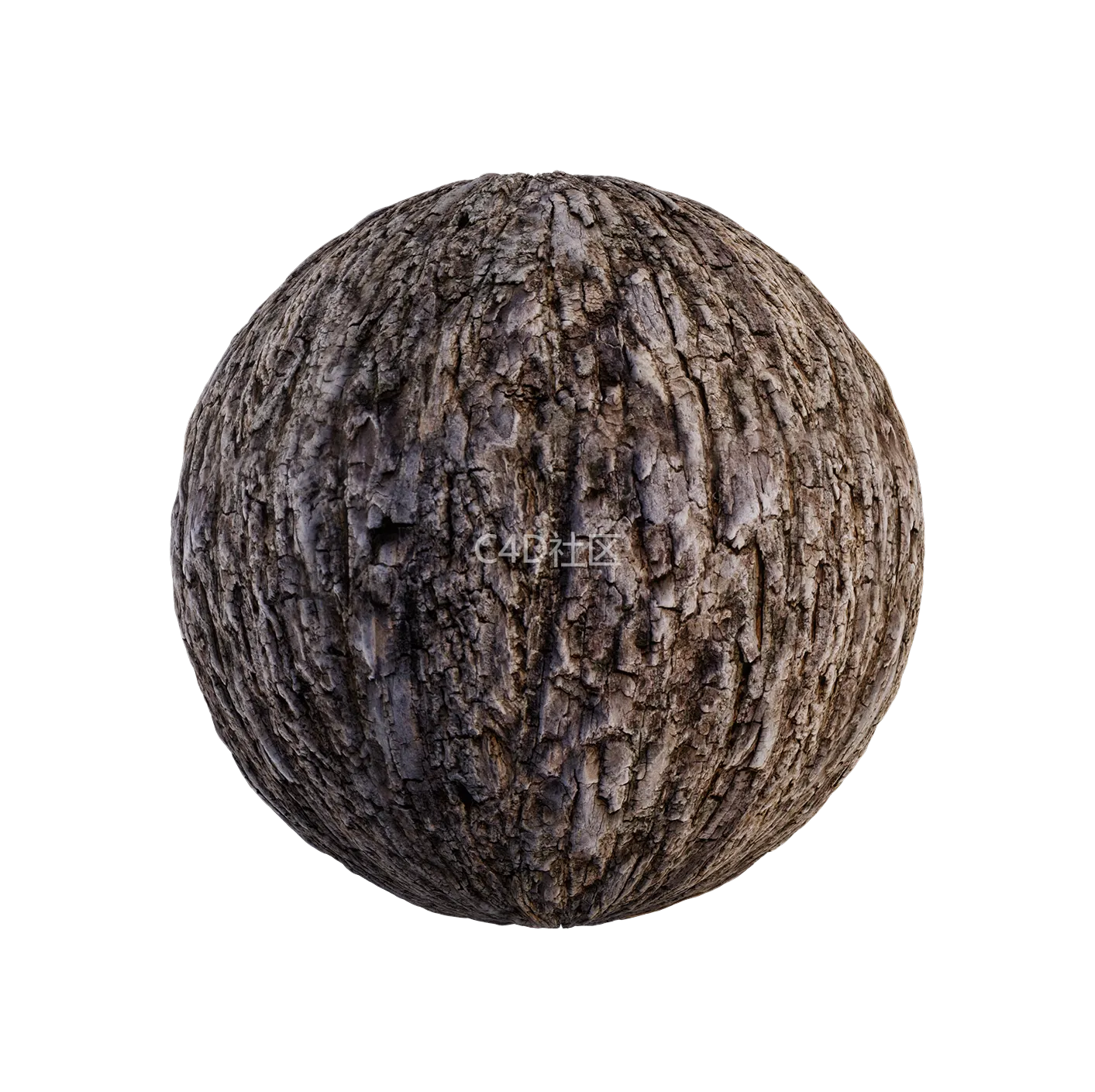 树皮纹理25052883