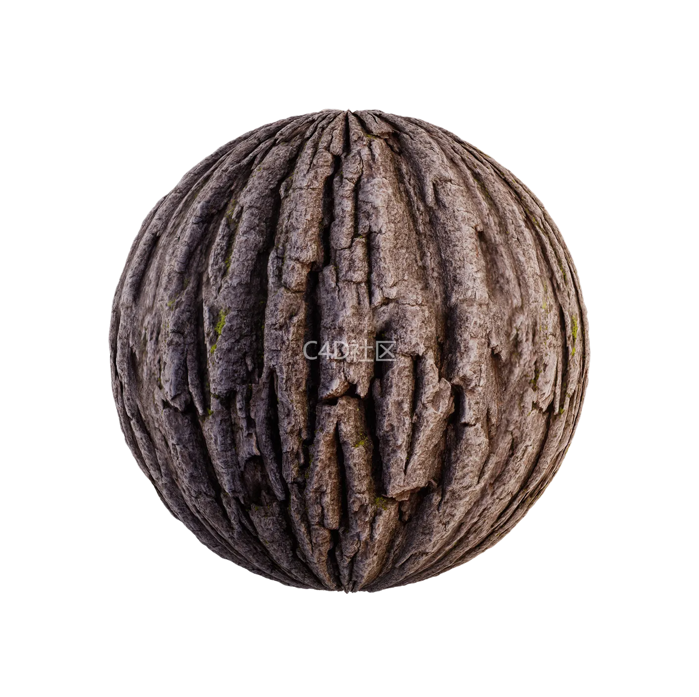 树皮纹理25052885