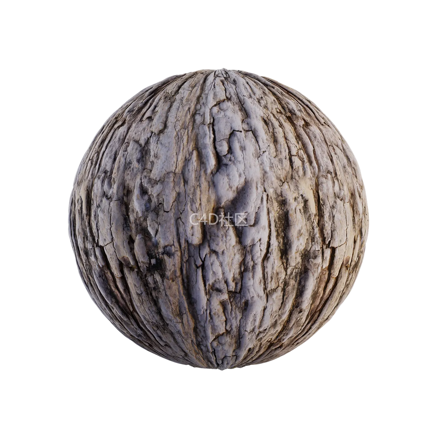 树皮纹理25052887