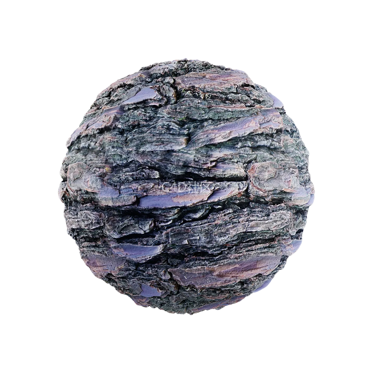 树皮纹理25052901