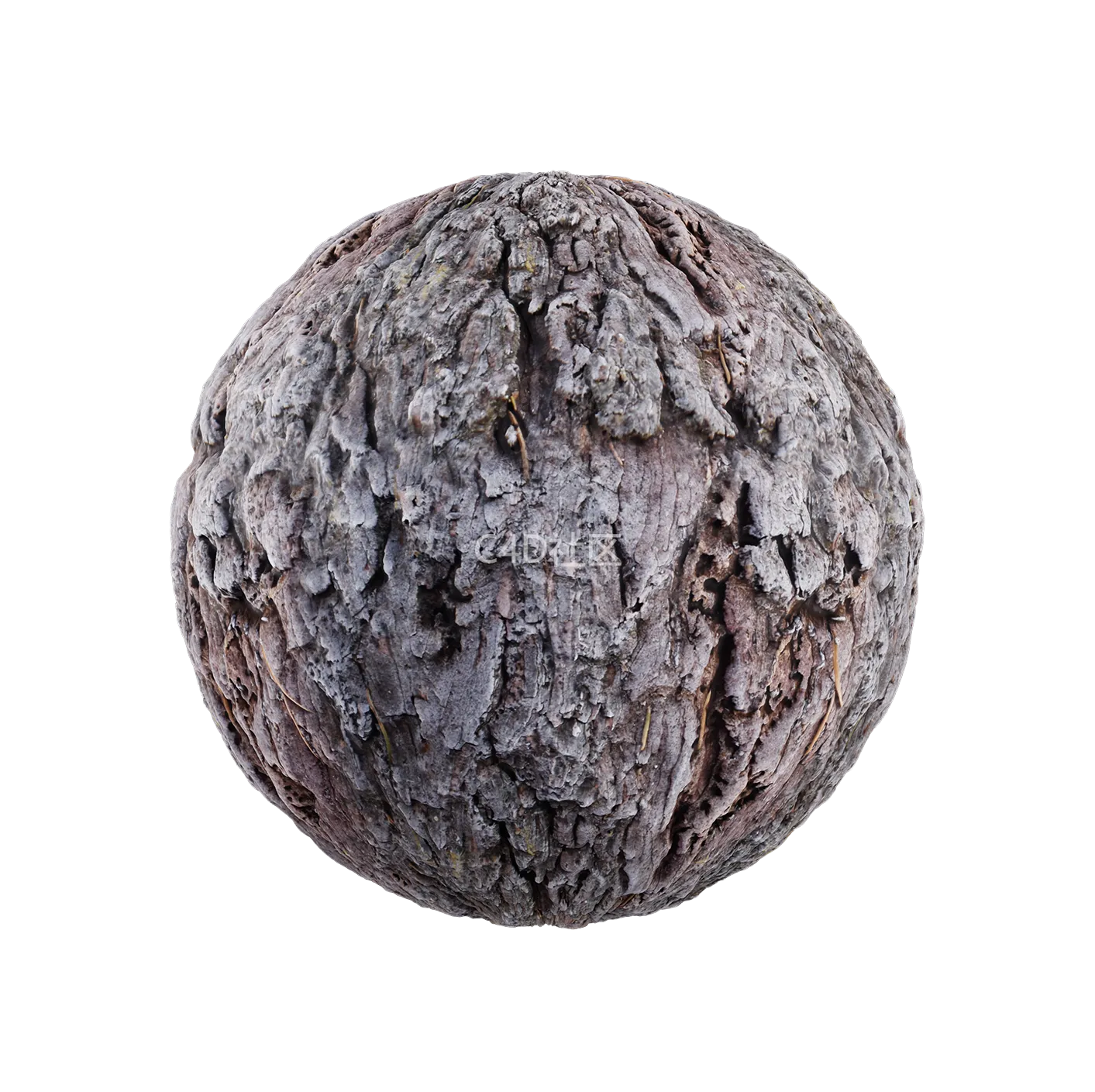 树皮纹理25052904