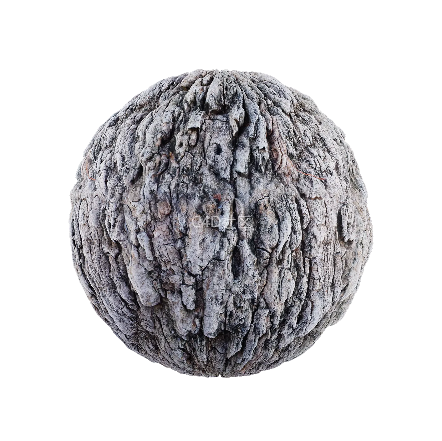 树皮纹理25052906