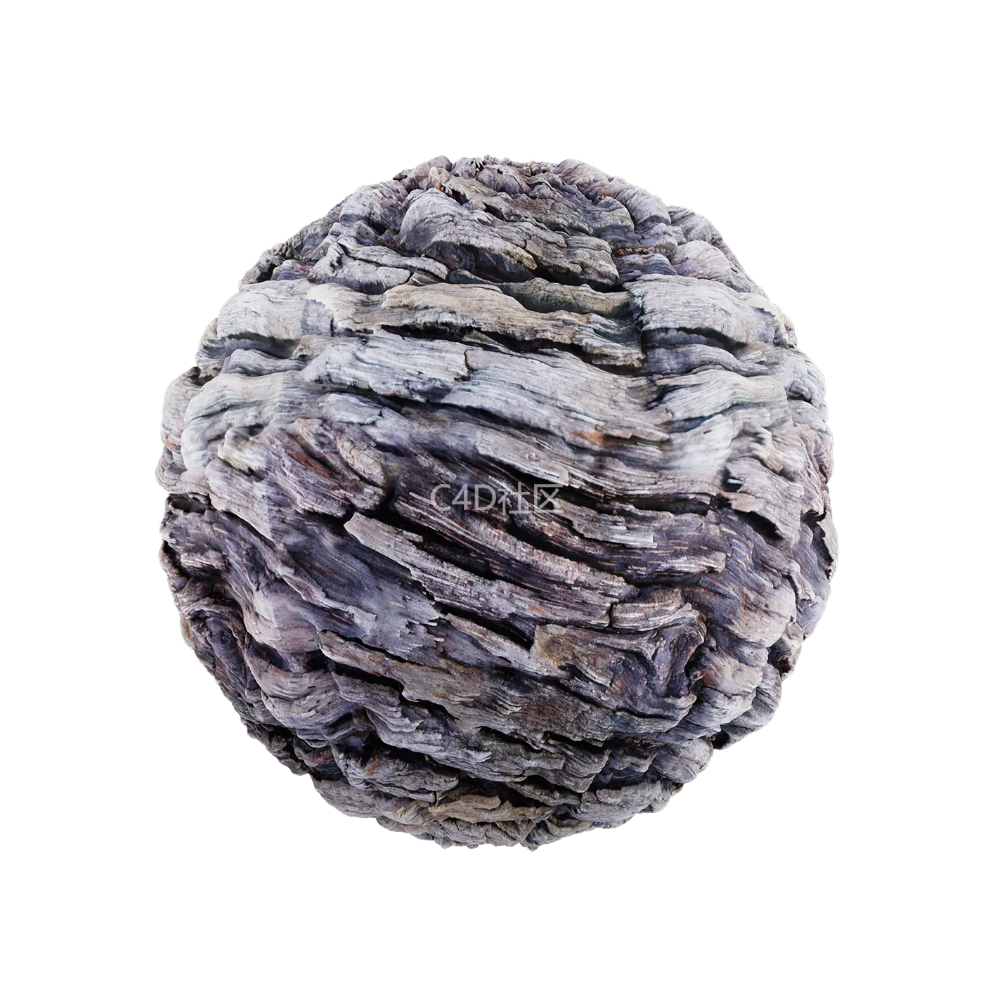 树皮纹理25052907