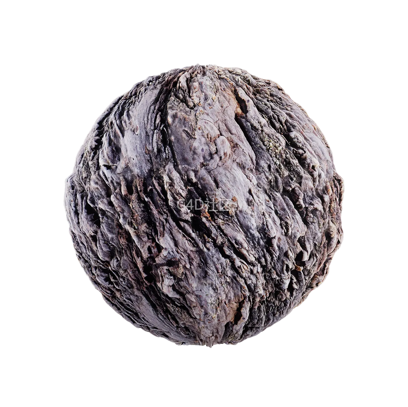 树皮纹理25052908