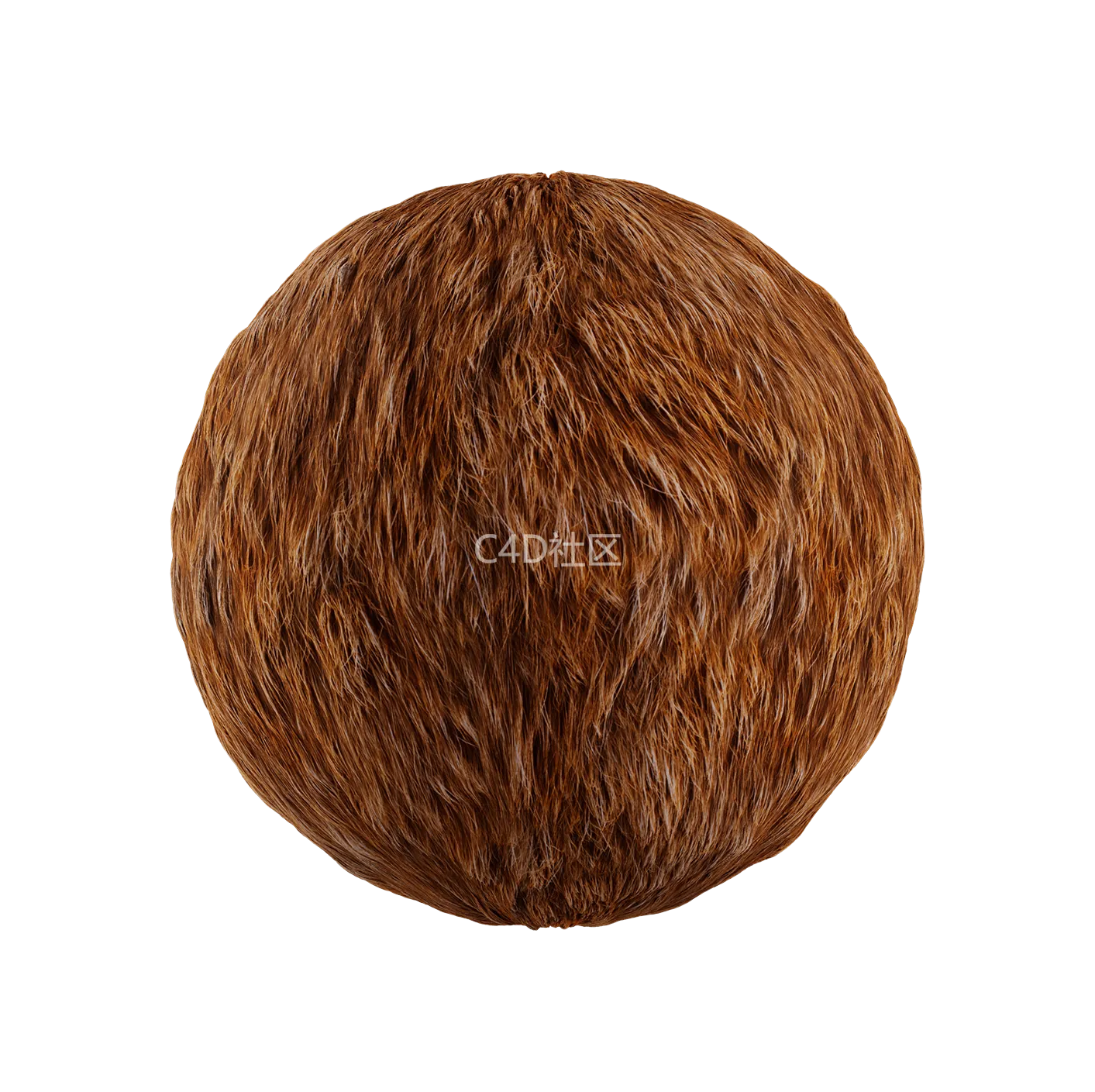 皮毛纹理250528329