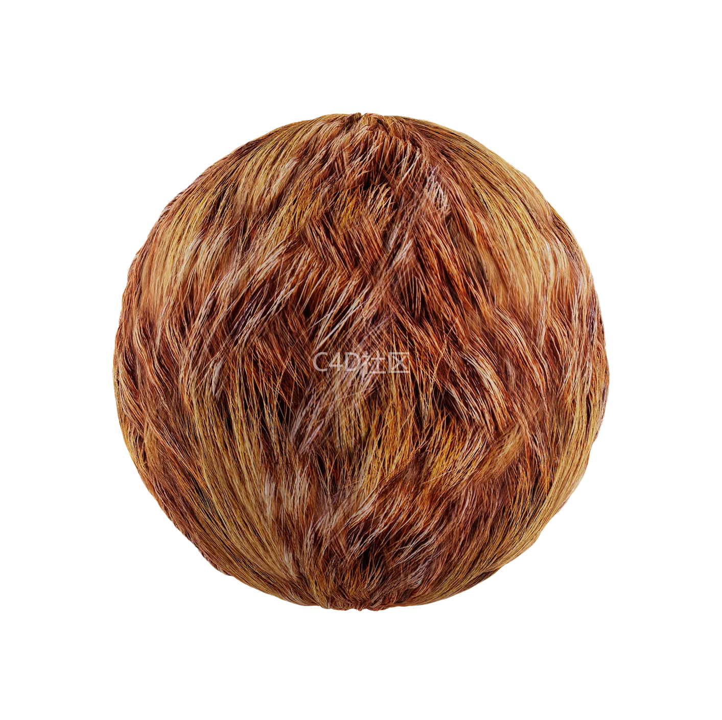 皮毛纹理250528331