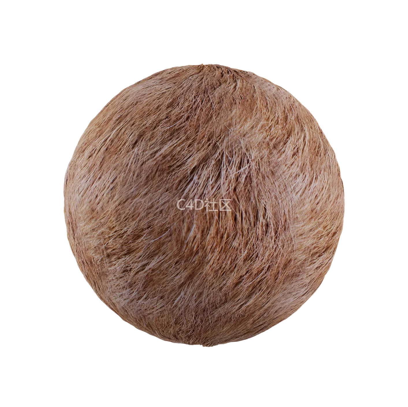 皮毛纹理250528336