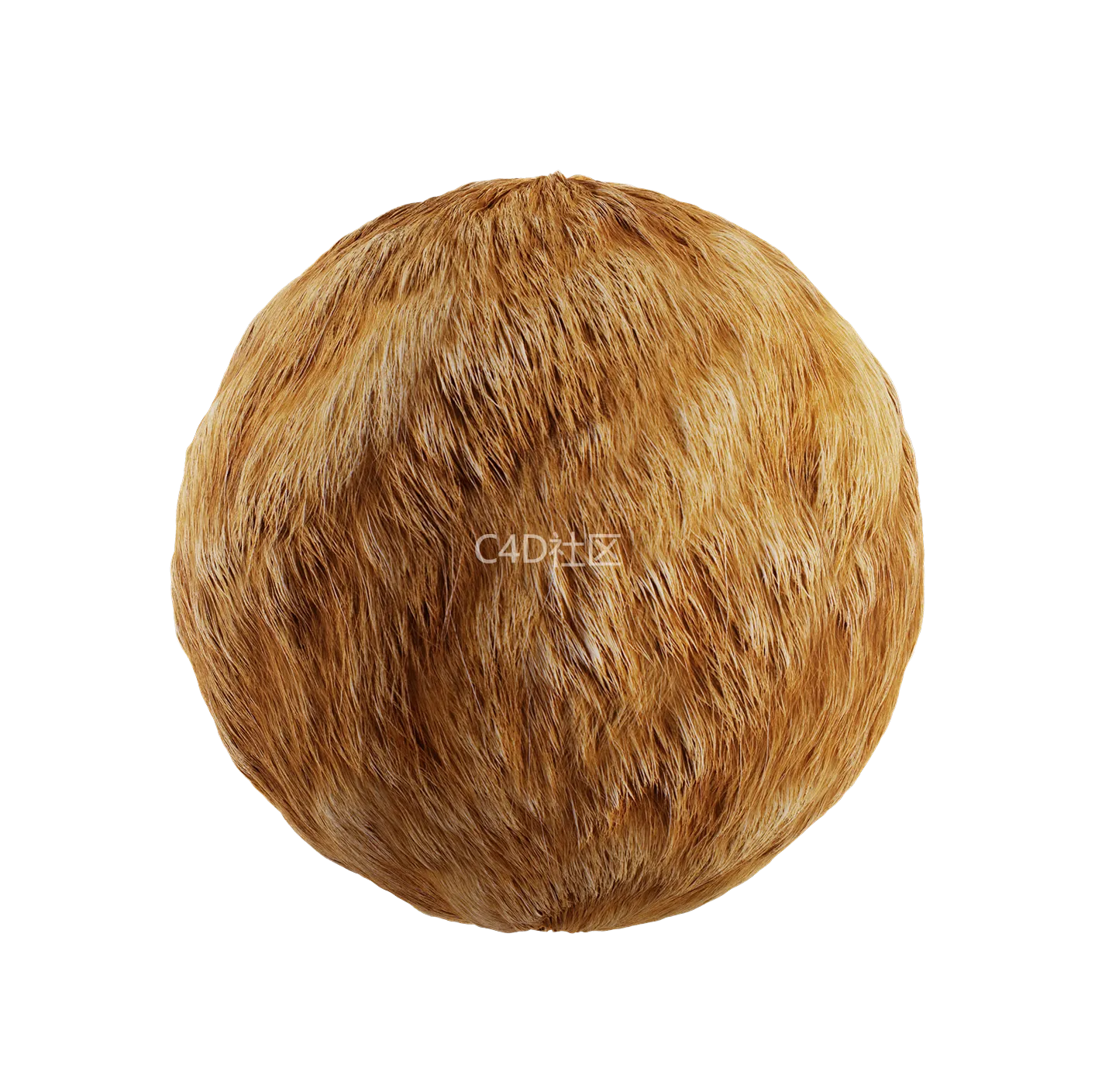 皮毛纹理250528350